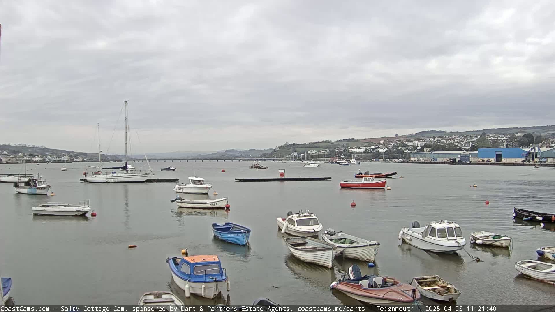 Numerous small motorboats and a sailboat are moored in a calm harbor under an overcast sky, with a town visible in the distance.