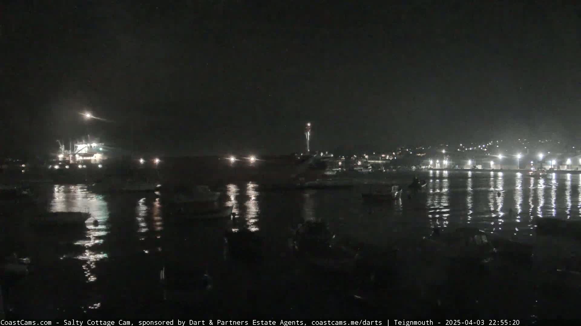 A nighttime harbor scene shows numerous boats moored in calm water under a dark sky, with lights illuminating the harbor and the surrounding area.