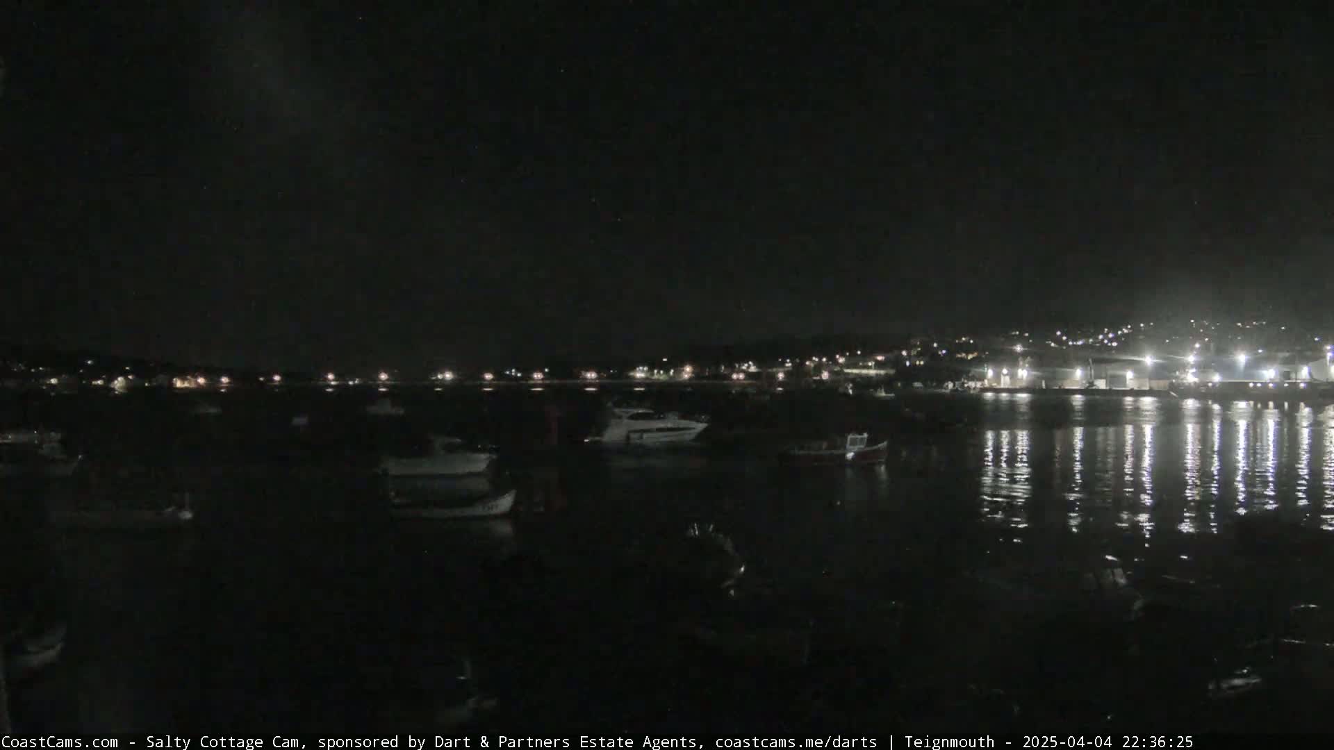 A nighttime harbor scene shows numerous boats moored in calm water, with lights illuminating a distant town under a dark sky.