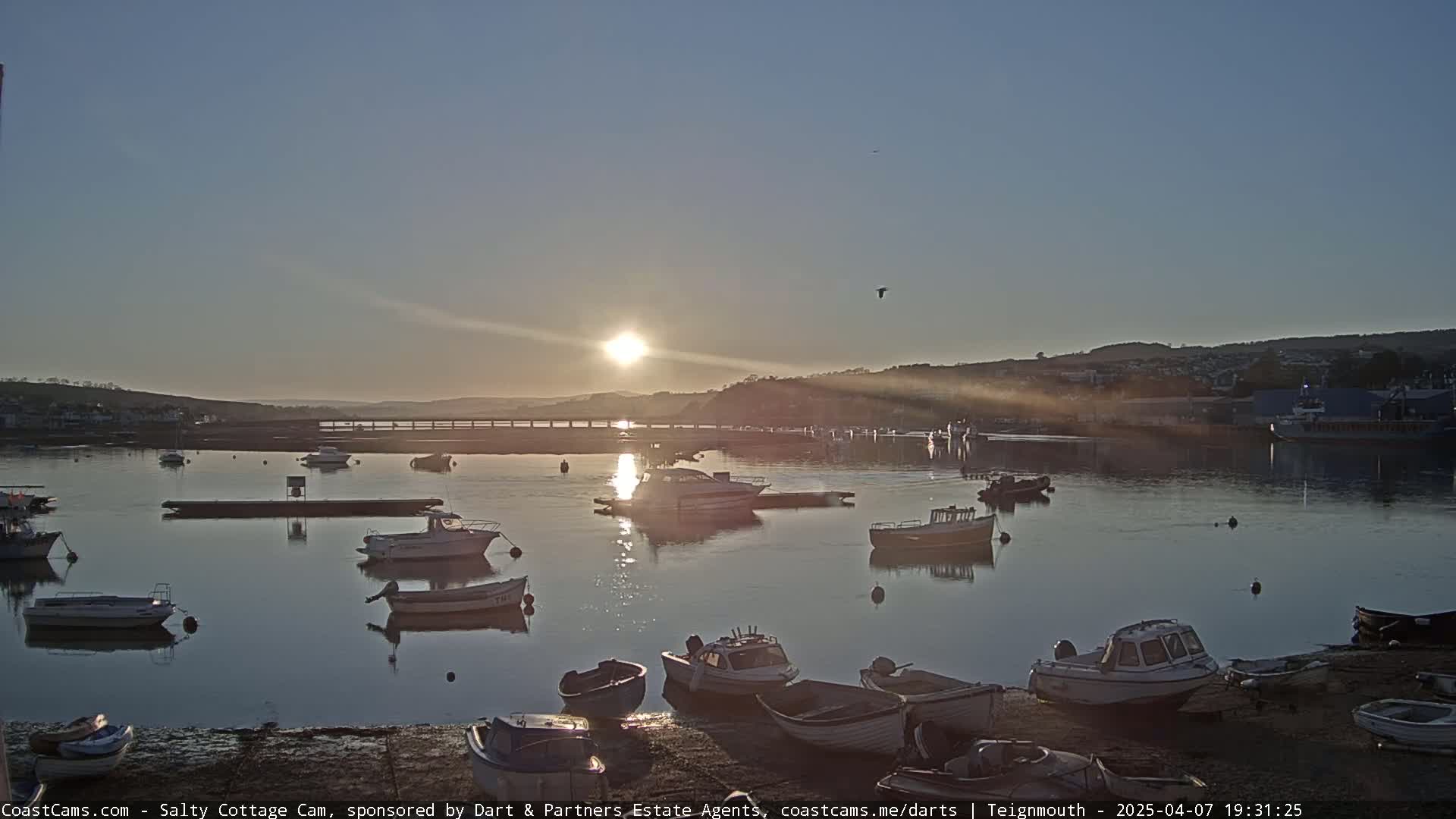 Many small boats are moored in a calm harbor at sunset, with a bridge visible in the distance.