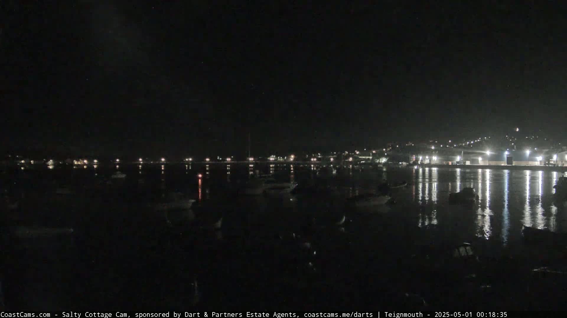 A nighttime view of a calm harbor with numerous boats moored, illuminated by lights from buildings on the shore.