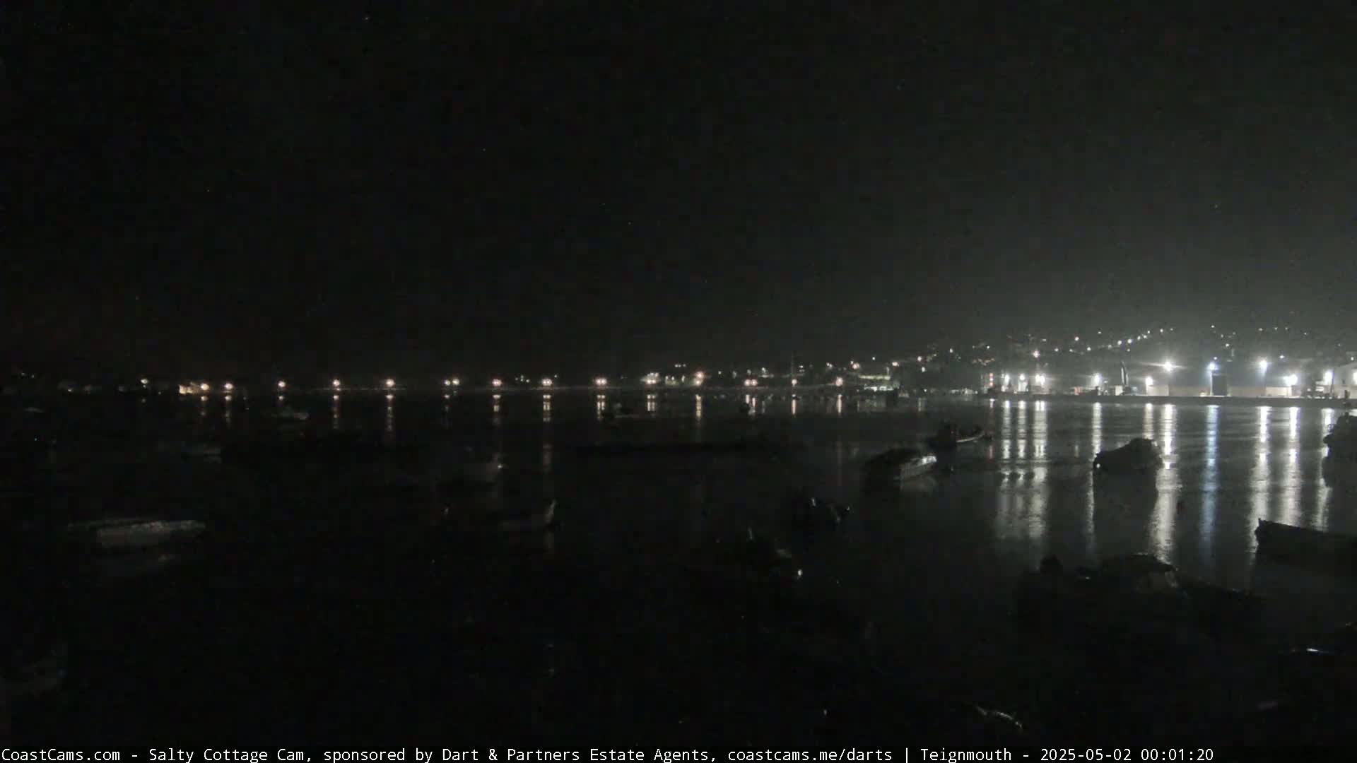 A dark nighttime scene shows a body of water with numerous boats, and a faintly lit town in the background.