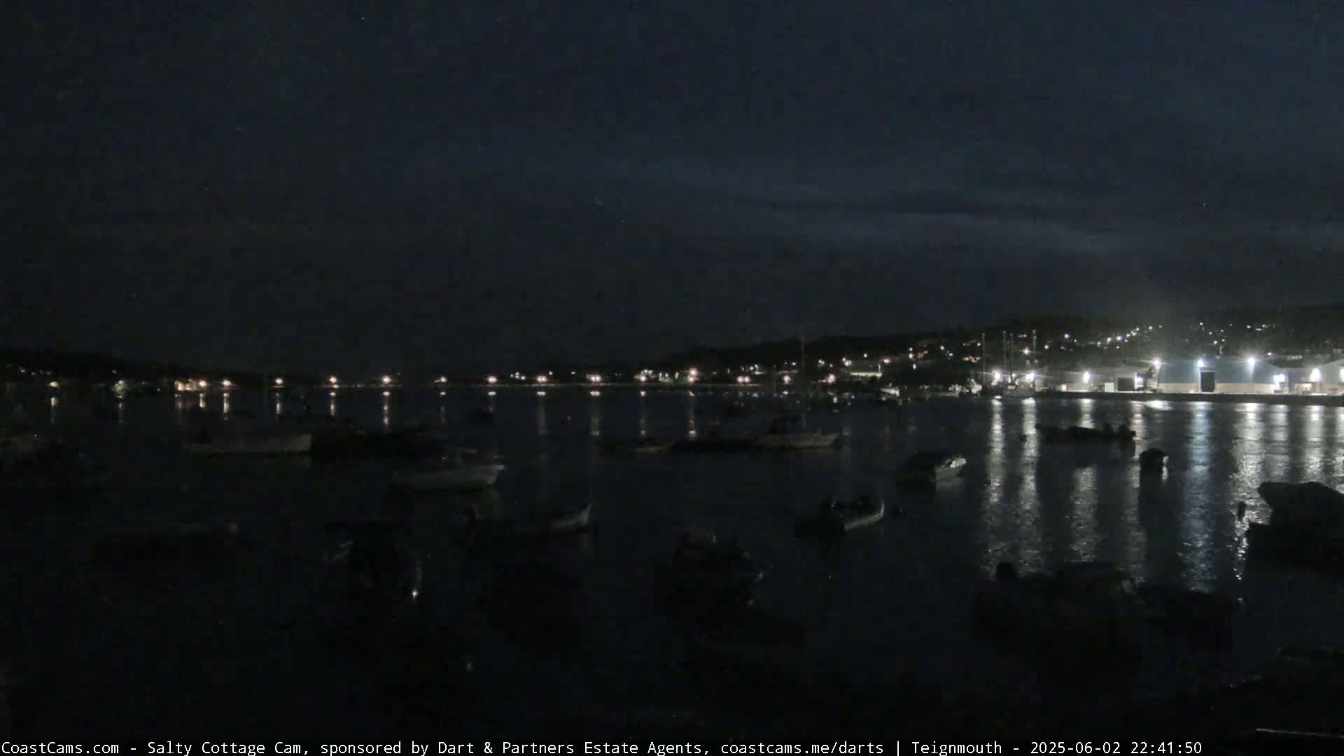 A nighttime view of a calm harbor with numerous boats moored, under a dark, mostly clear sky.