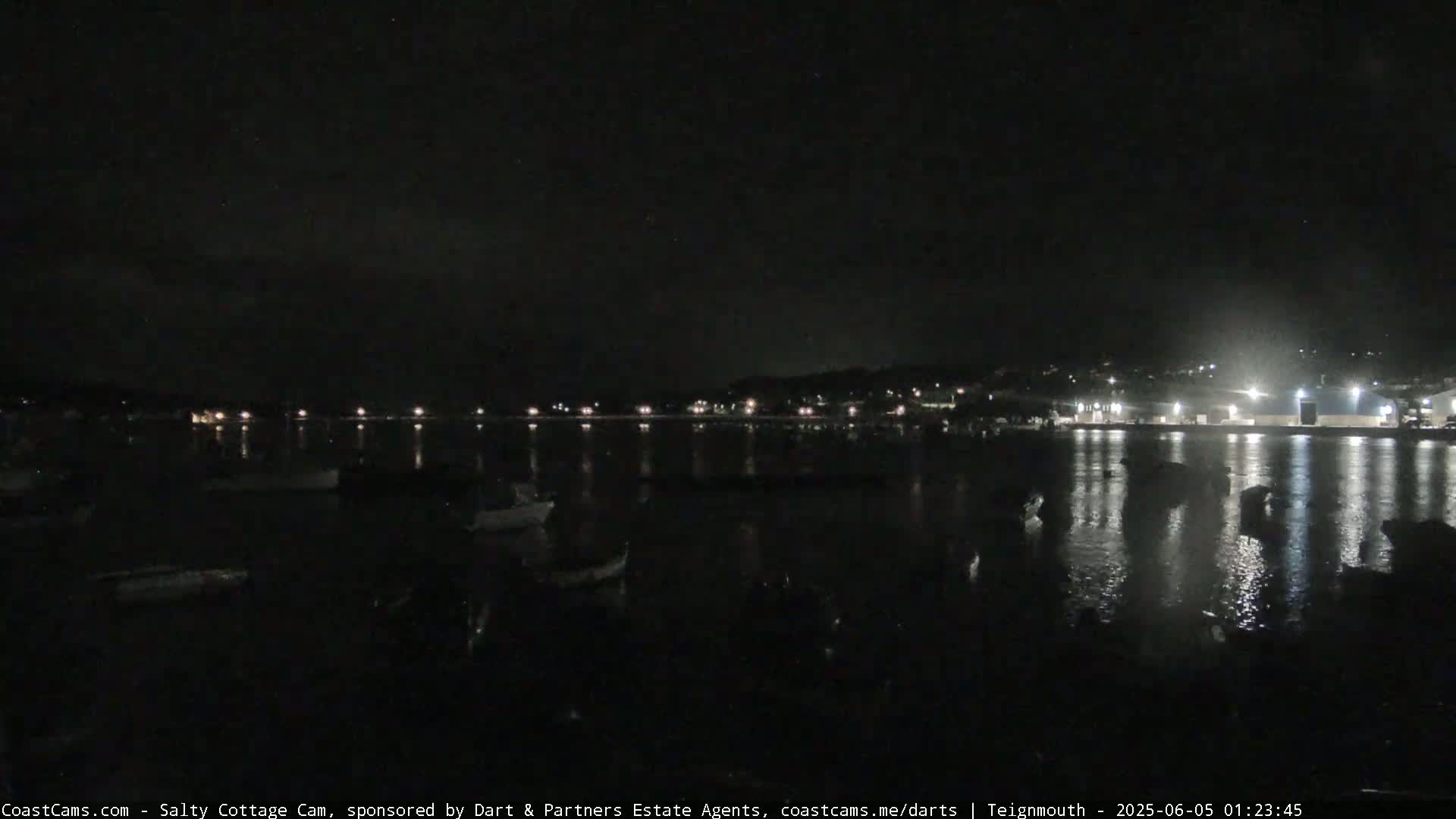 A dark nighttime scene shows a body of water with several boats moored, and a distant shoreline with faint lights.