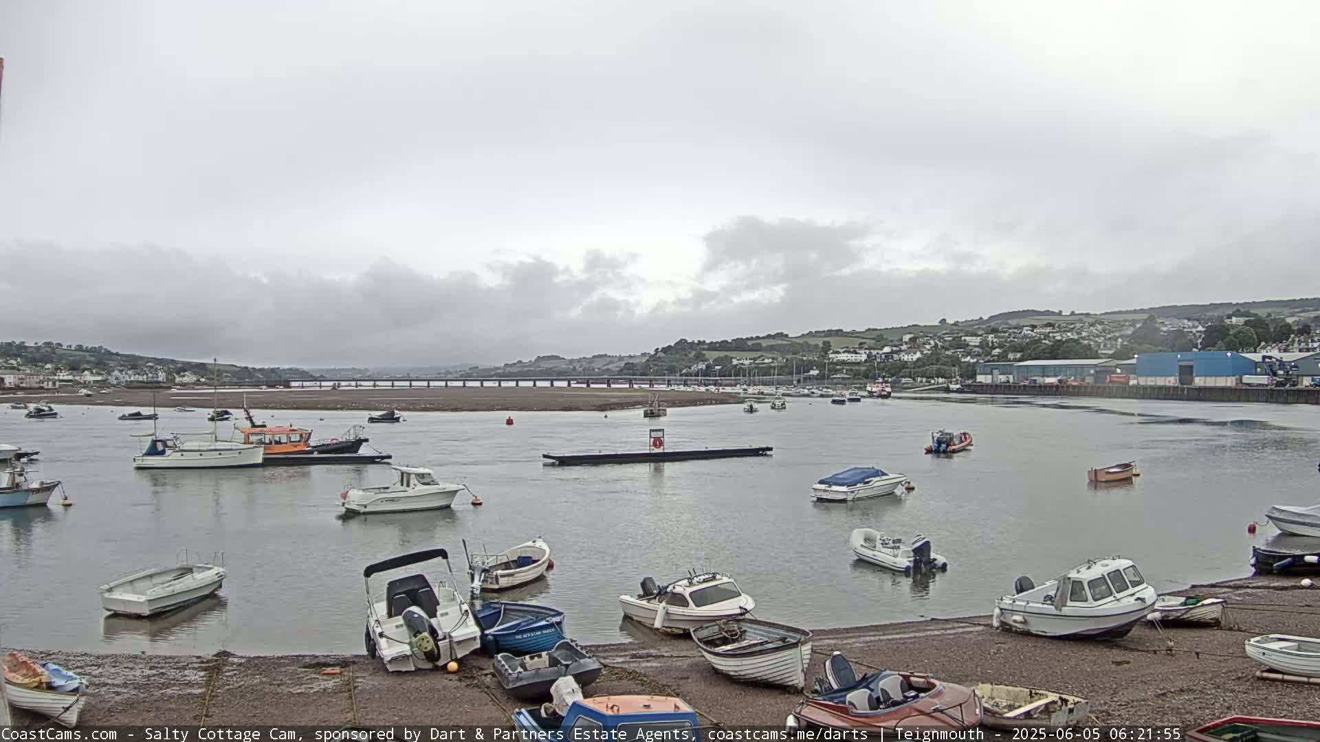 Numerous boats are moored in a calm harbor under an overcast sky, with a distant town and bridge visible.