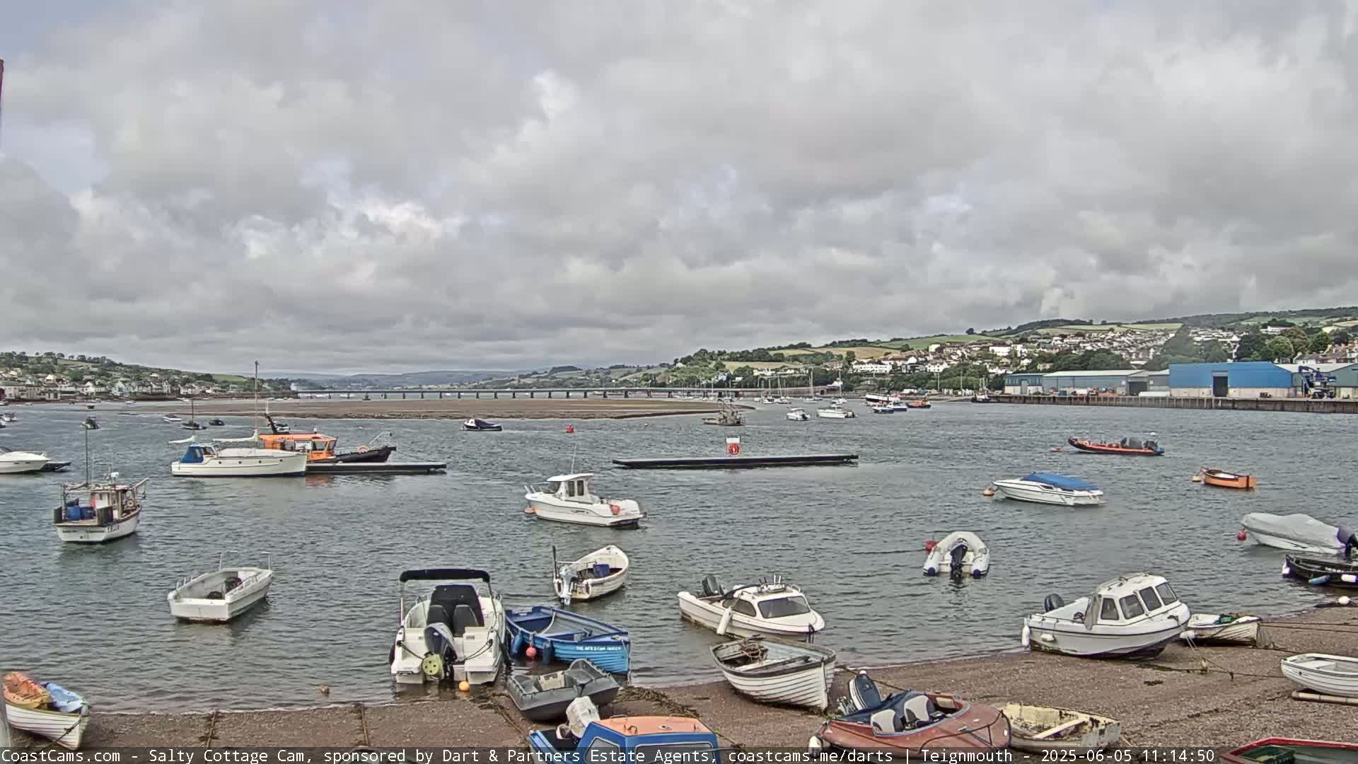 Numerous small boats are moored in a calm harbor under a cloudy sky, with a town and bridge visible in the distance.