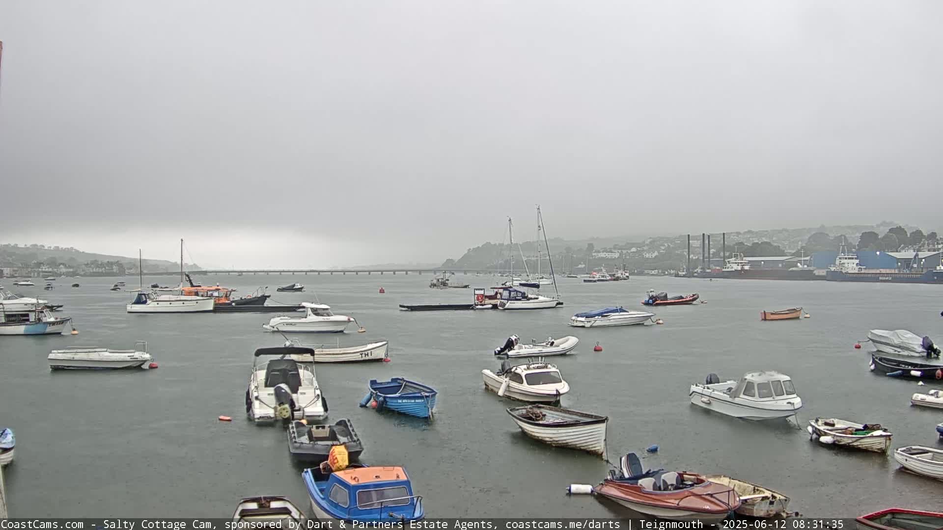 Numerous boats are moored in a harbor under an overcast, gray sky.
