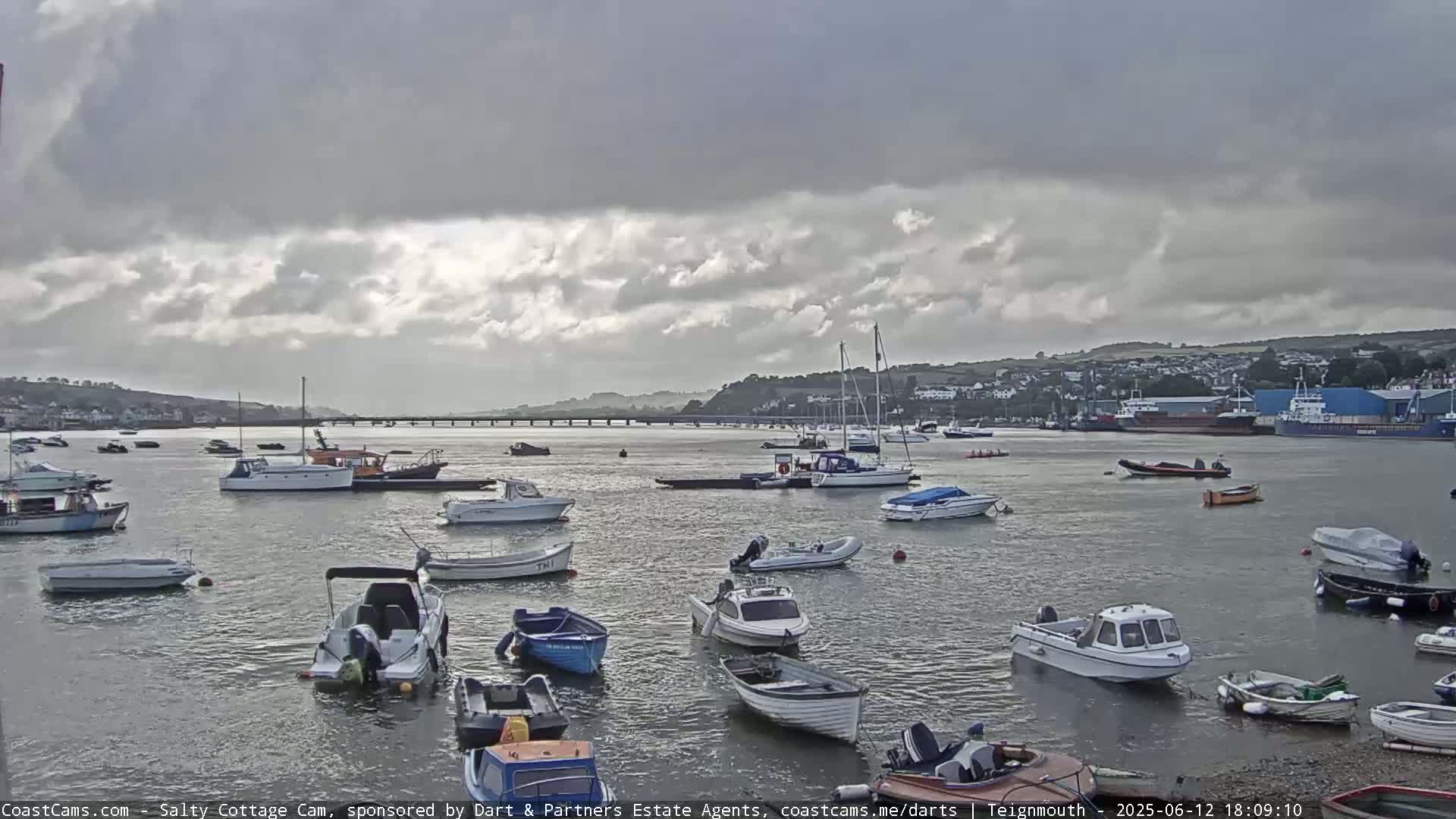 Many small boats are moored in a calm harbor under a cloudy sky.