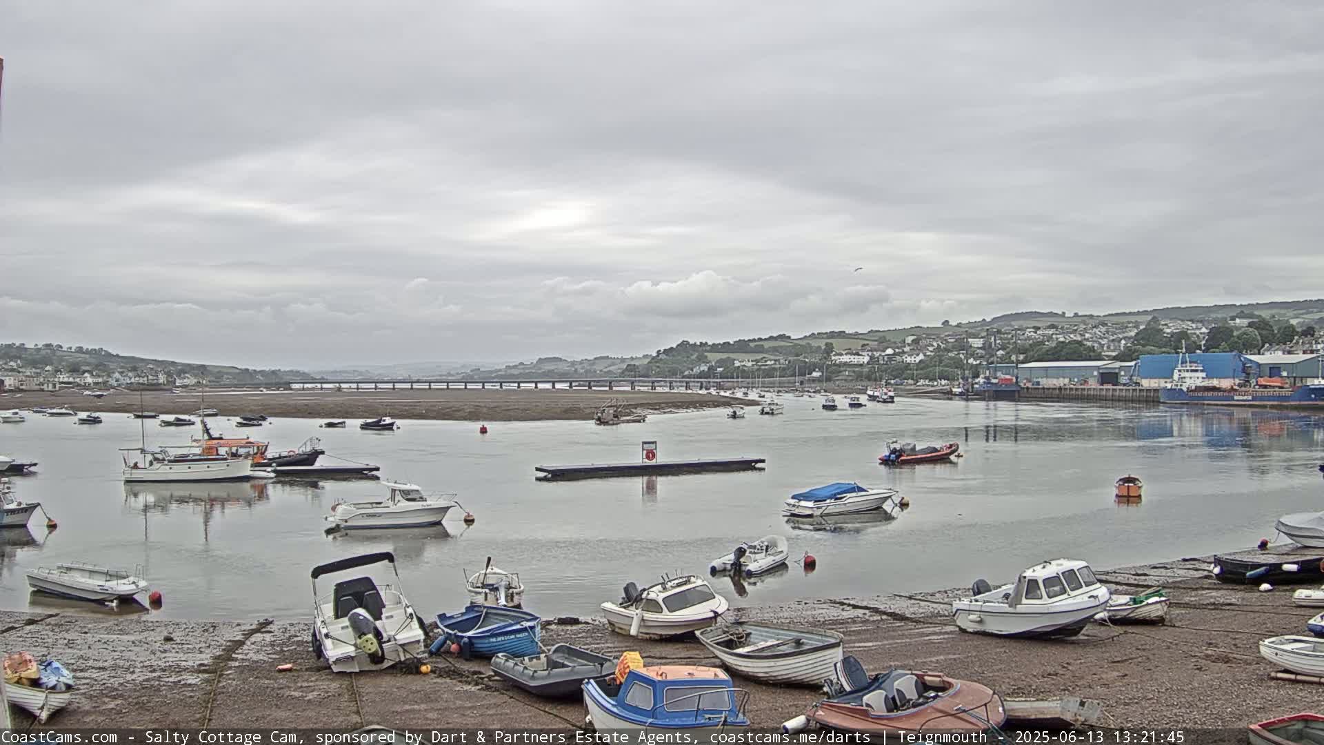 Numerous small boats are moored along a muddy shore, with a calm river and a distant town visible under an overcast sky.