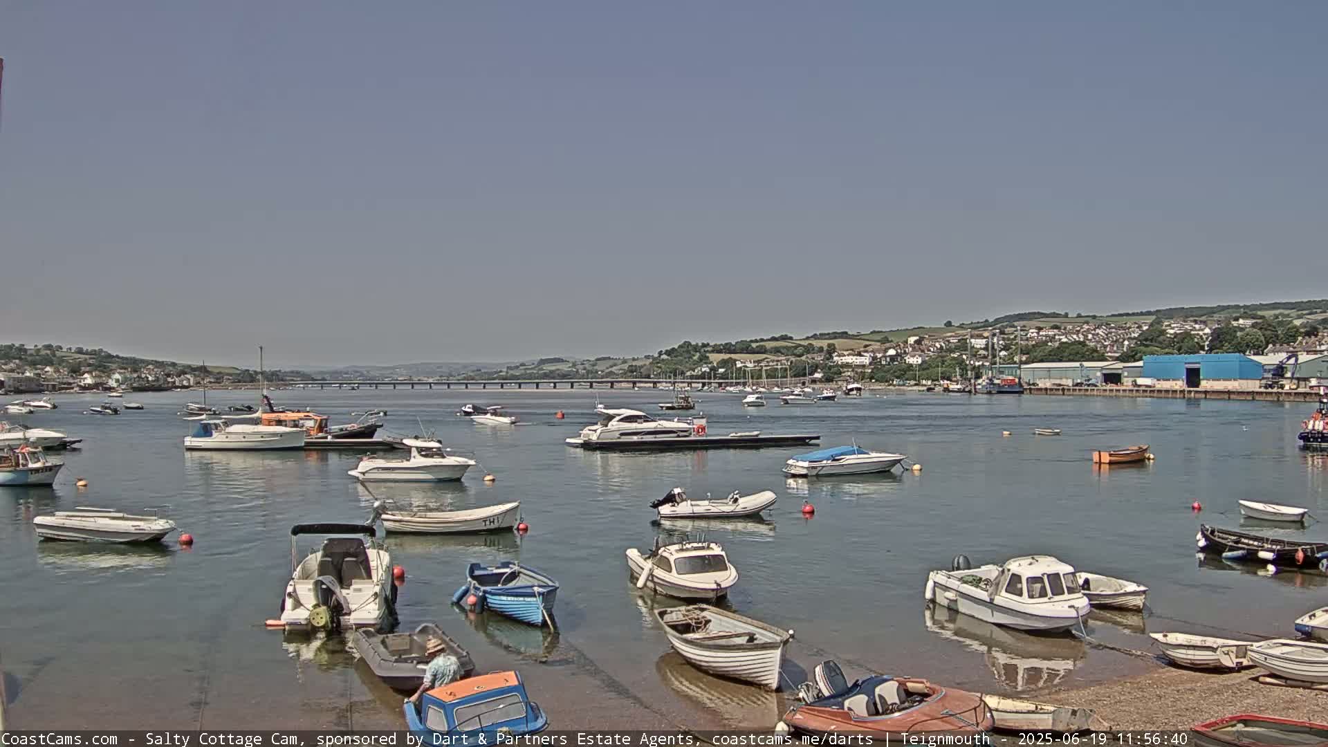 Numerous boats are moored in a calm harbor on a sunny day, with a bridge and distant hills visible in the background.