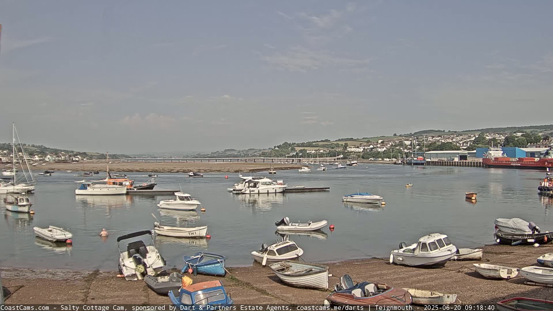 Numerous small boats are moored in calm water near a sandy shore, with a town and bridge visible in the background under a mostly clear sky.