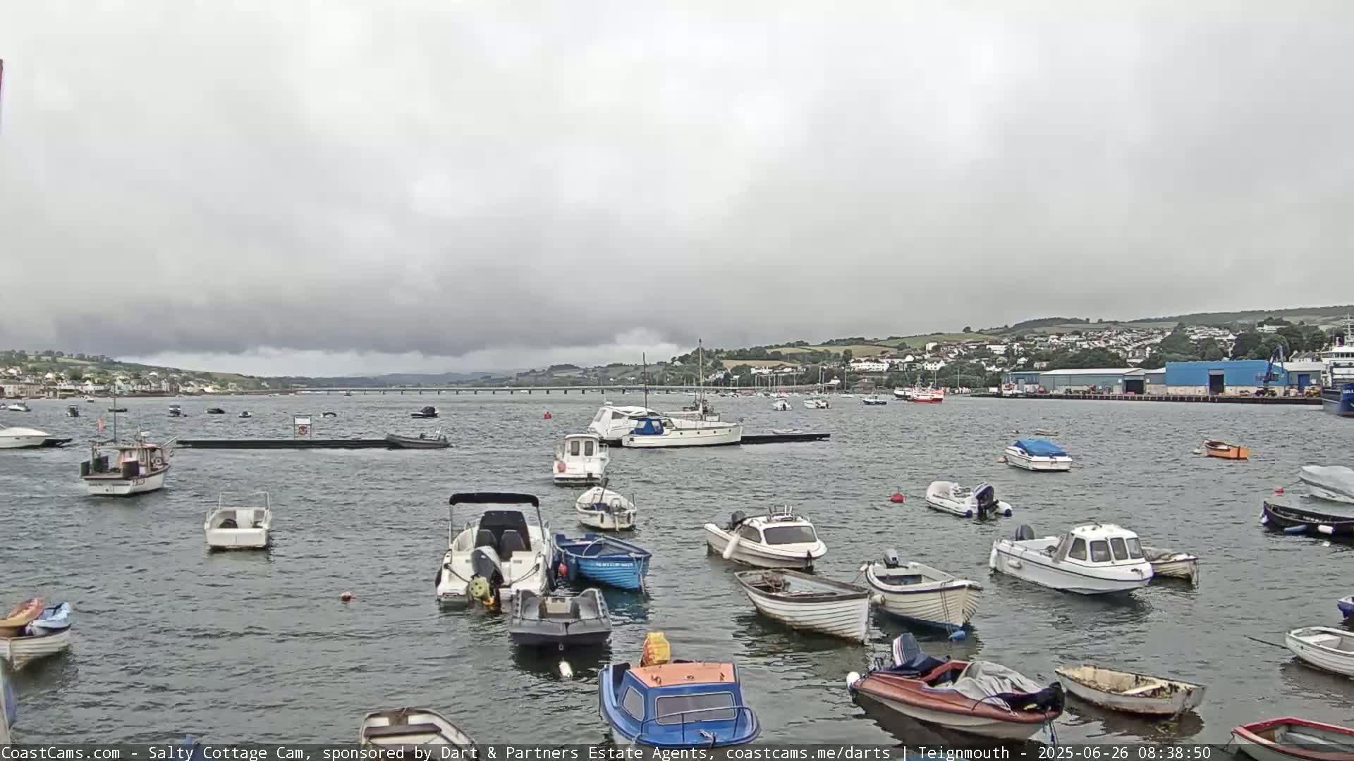 Numerous small boats are moored in calm water under an overcast sky, with a town and bridge visible in the background.