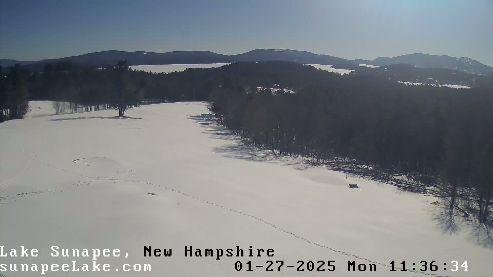 A snow-covered landscape with a line of dark trees along a snowfield, under a clear, sunny sky, and distant mountains in the background.