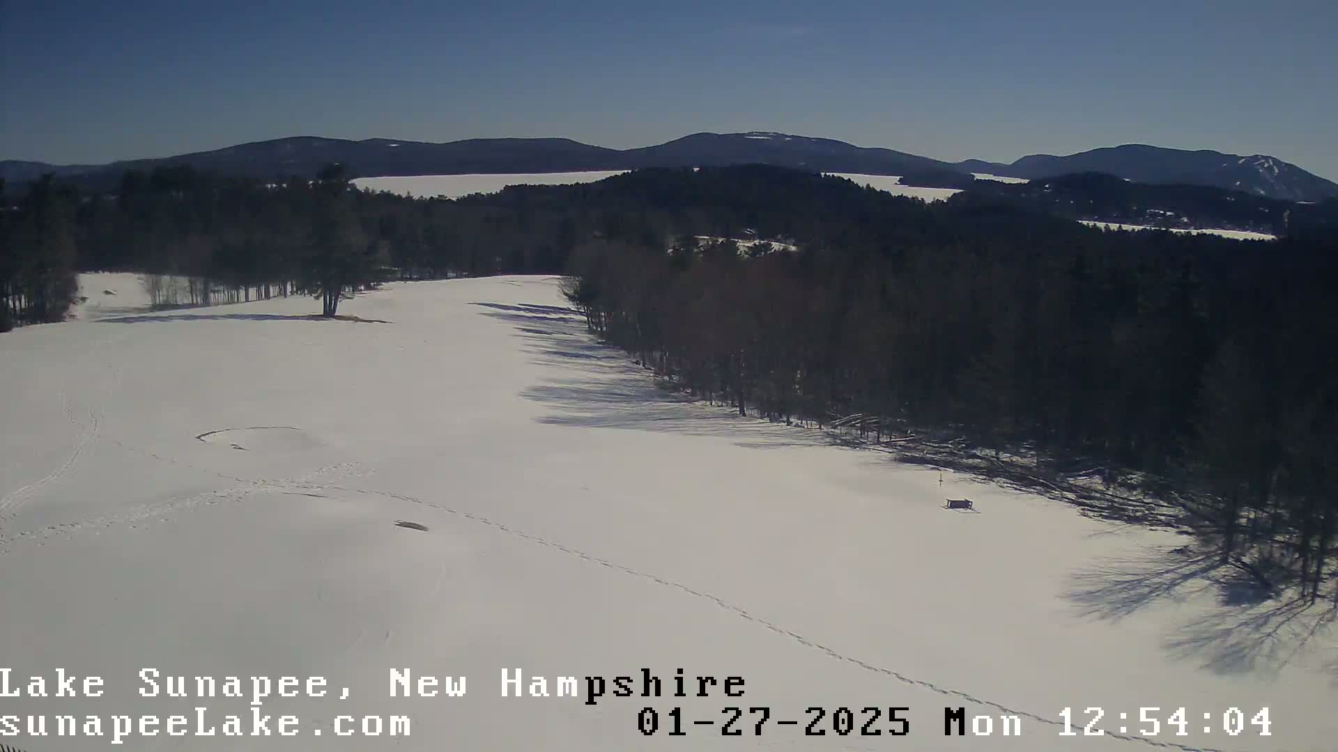 A snow-covered field with a line of leafless trees, extending to distant mountains under a clear blue sky.