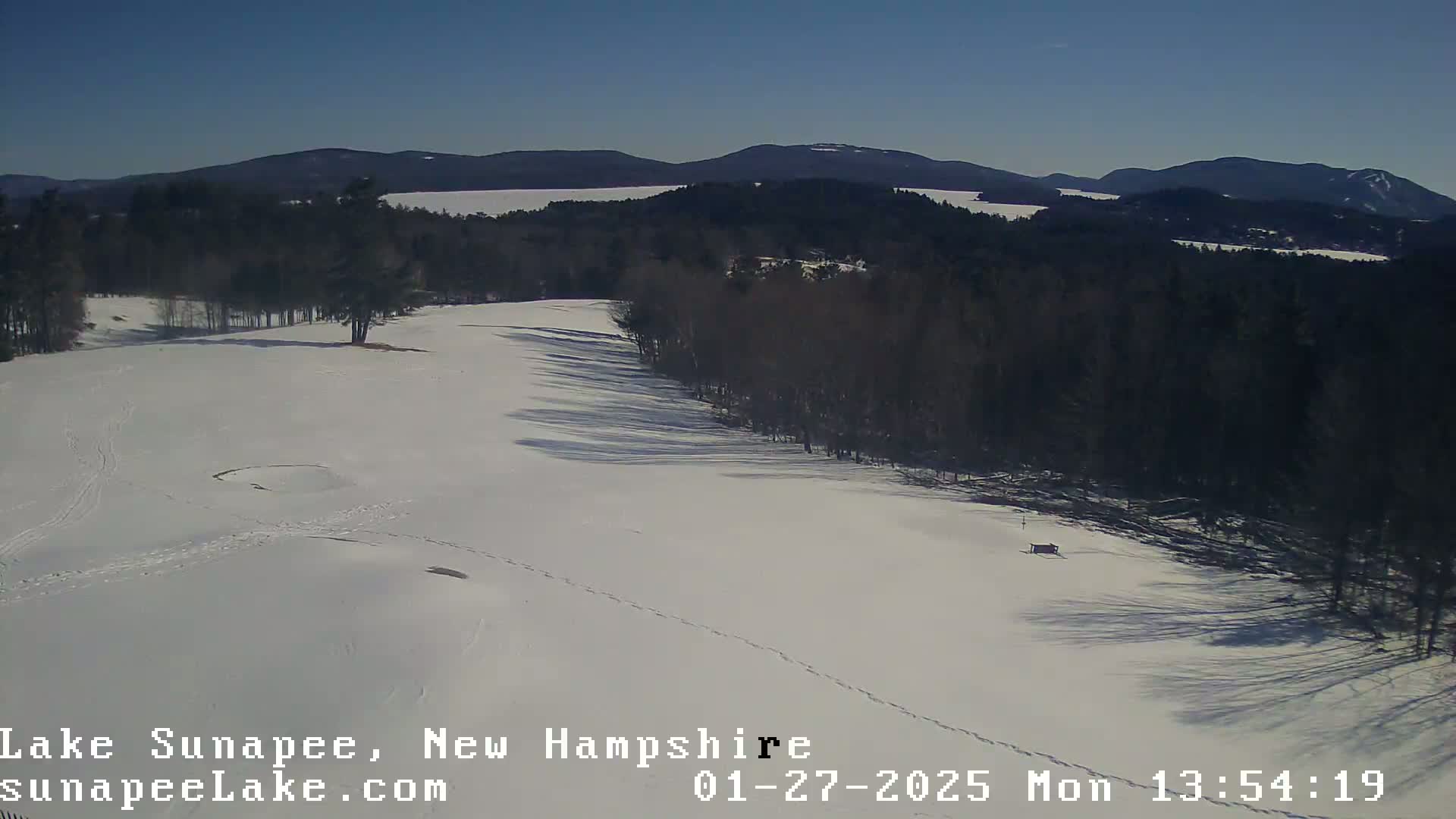 A snow-covered landscape with a line of bare trees bordering a wide, flat expanse of snow under a clear blue sky.