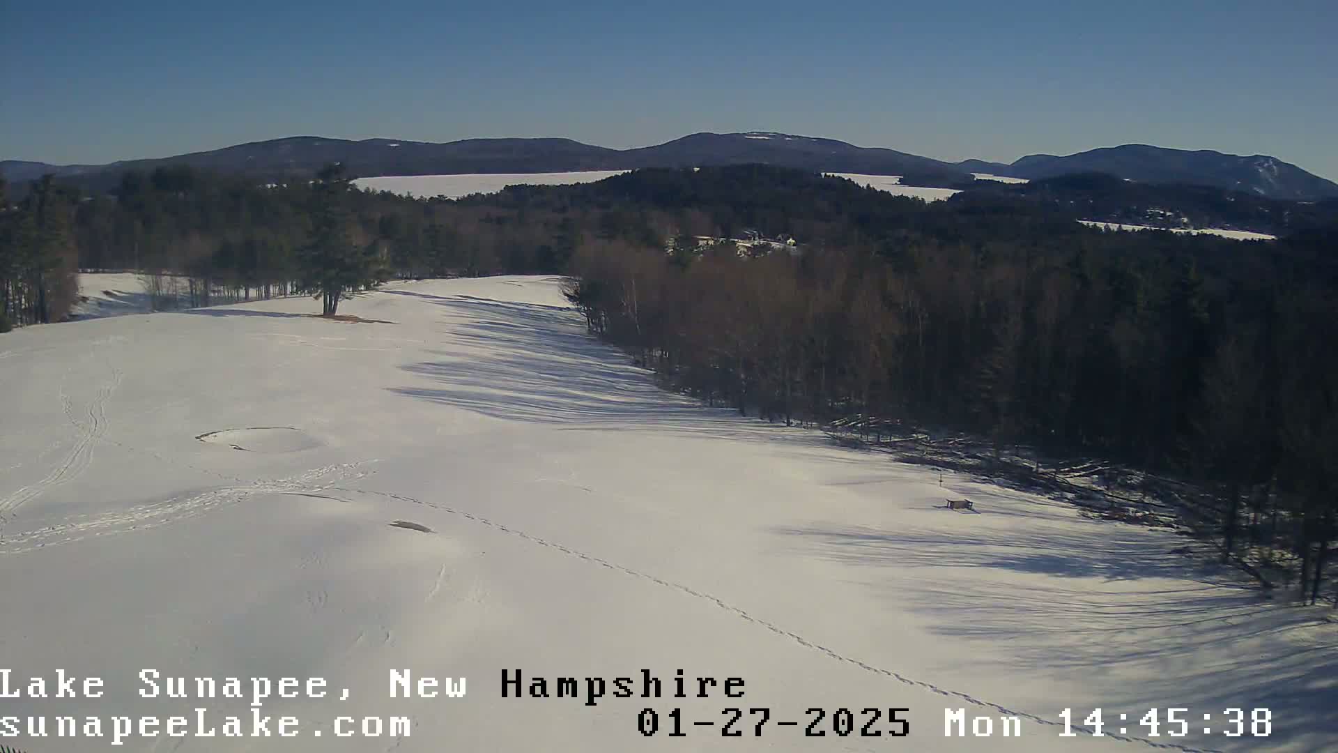 A snow-covered landscape with a line of trees and distant mountains under a clear blue sky.