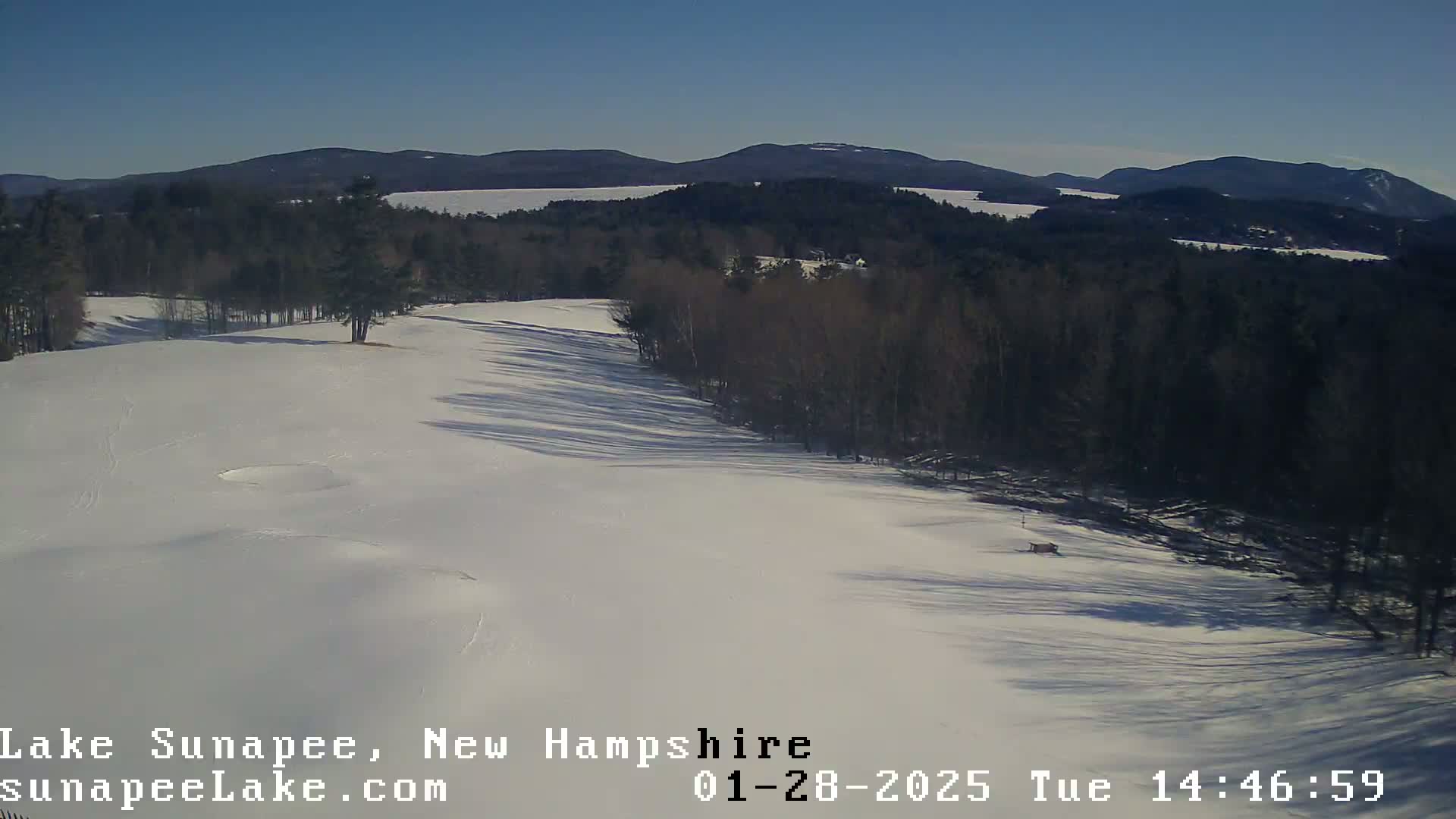 A snow-covered landscape with a line of bare trees bordering a snowy field, under a clear blue sky.