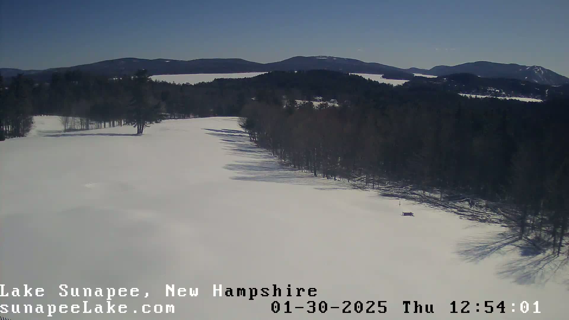 A snow-covered landscape with a line of dark trees separating a snowy field from a frozen lake and distant mountains under a clear blue sky.