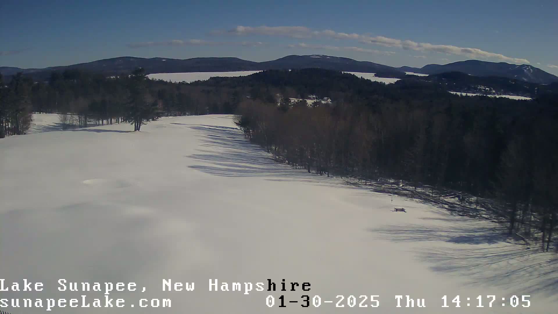 A snow-covered landscape with a line of bare trees separating a snowy field from a background of distant mountains under a mostly clear blue sky.