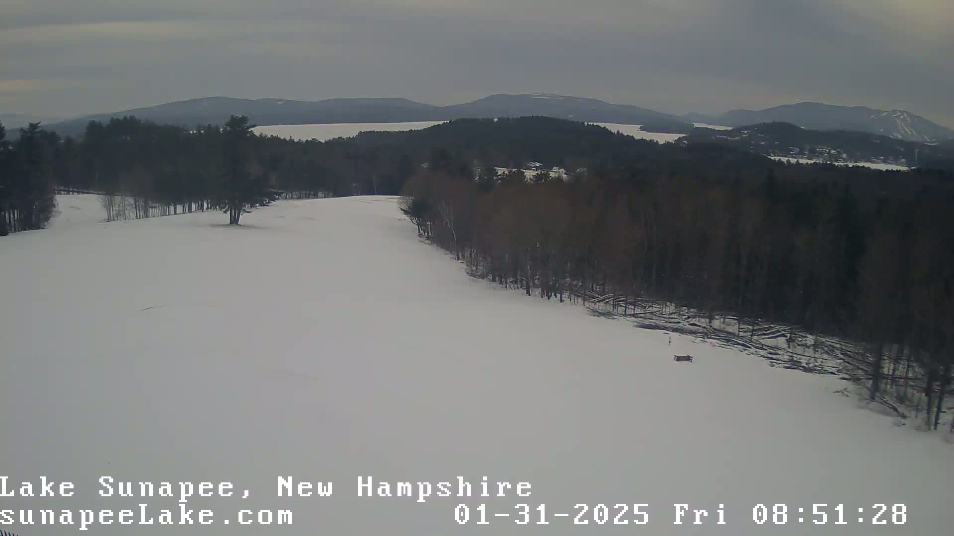 A snow-covered landscape with dark evergreen trees and a distant lake is visible under an overcast sky.