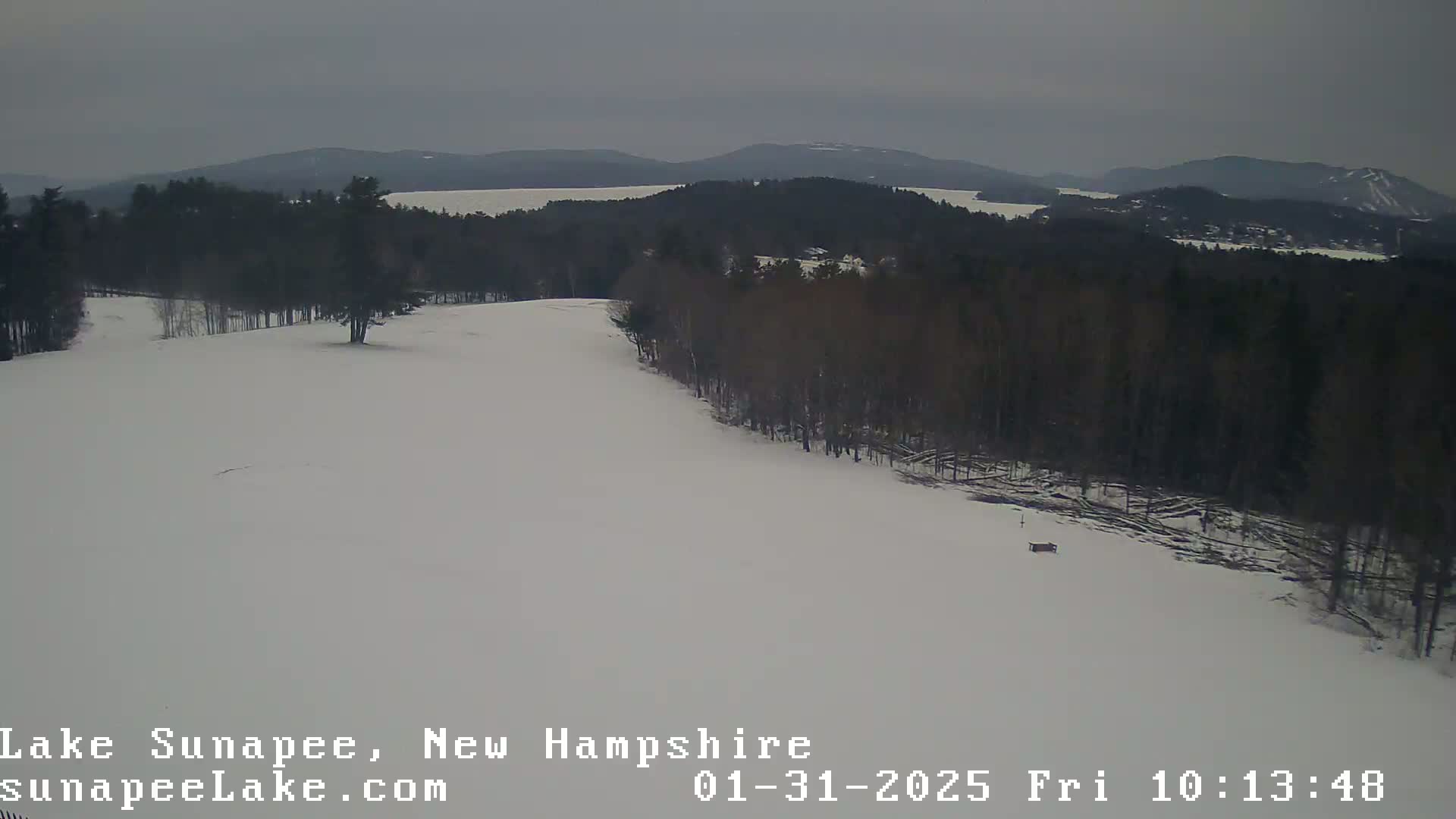 A snow-covered landscape shows a hillside with a stand of dark trees overlooking a distant lake under an overcast sky.