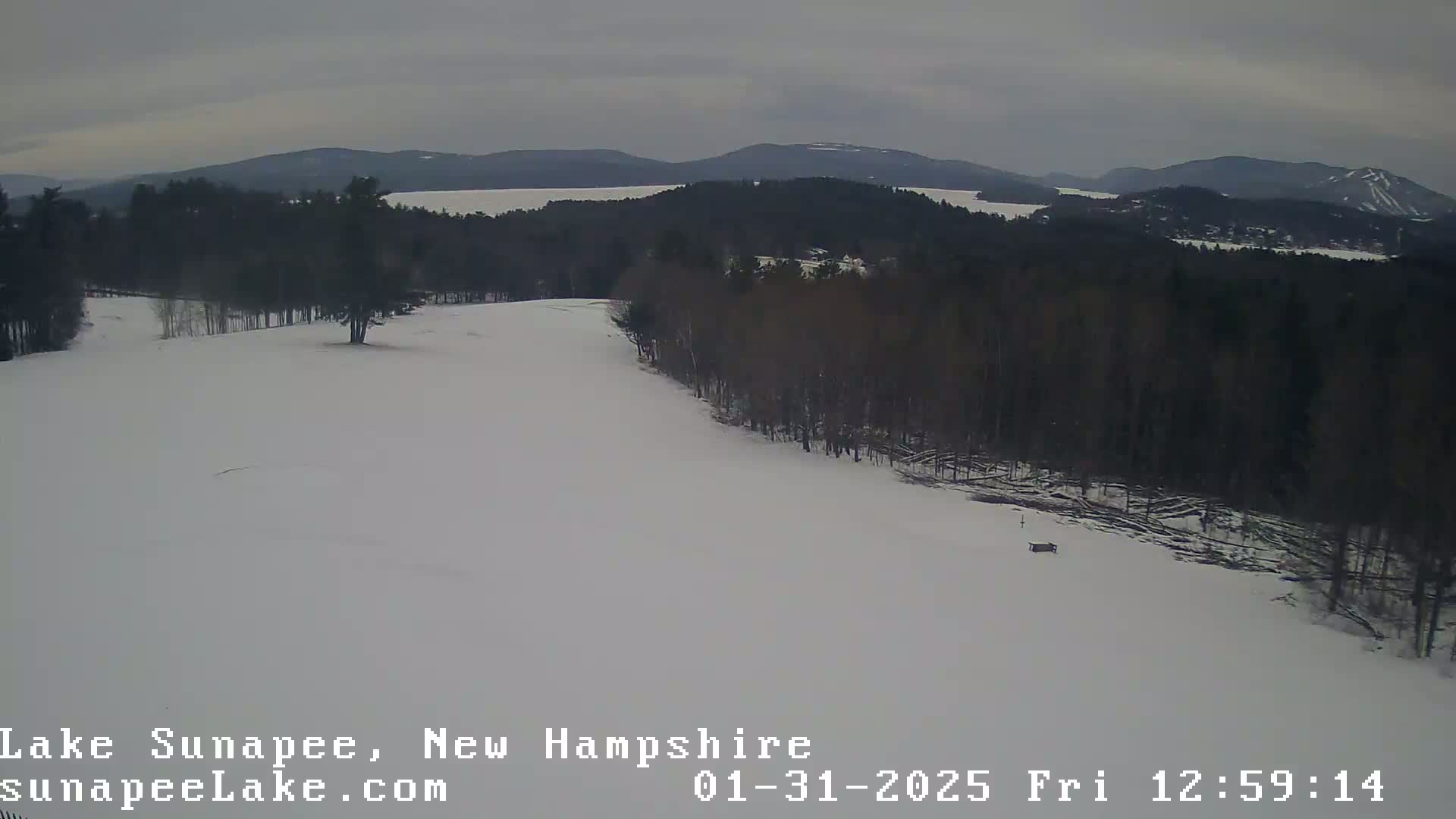 A snow-covered landscape with a stand of dark trees on a hill overlooking a lake and distant mountains under an overcast sky.