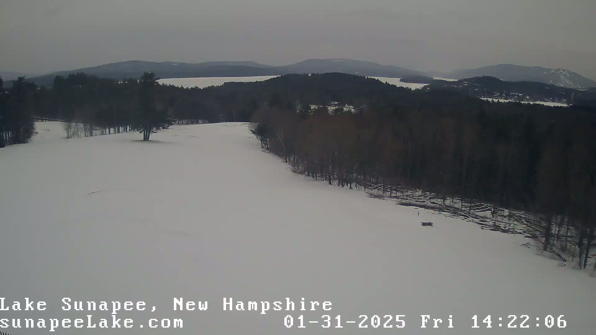 A snow-covered landscape with dark trees and a distant lake under an overcast sky.