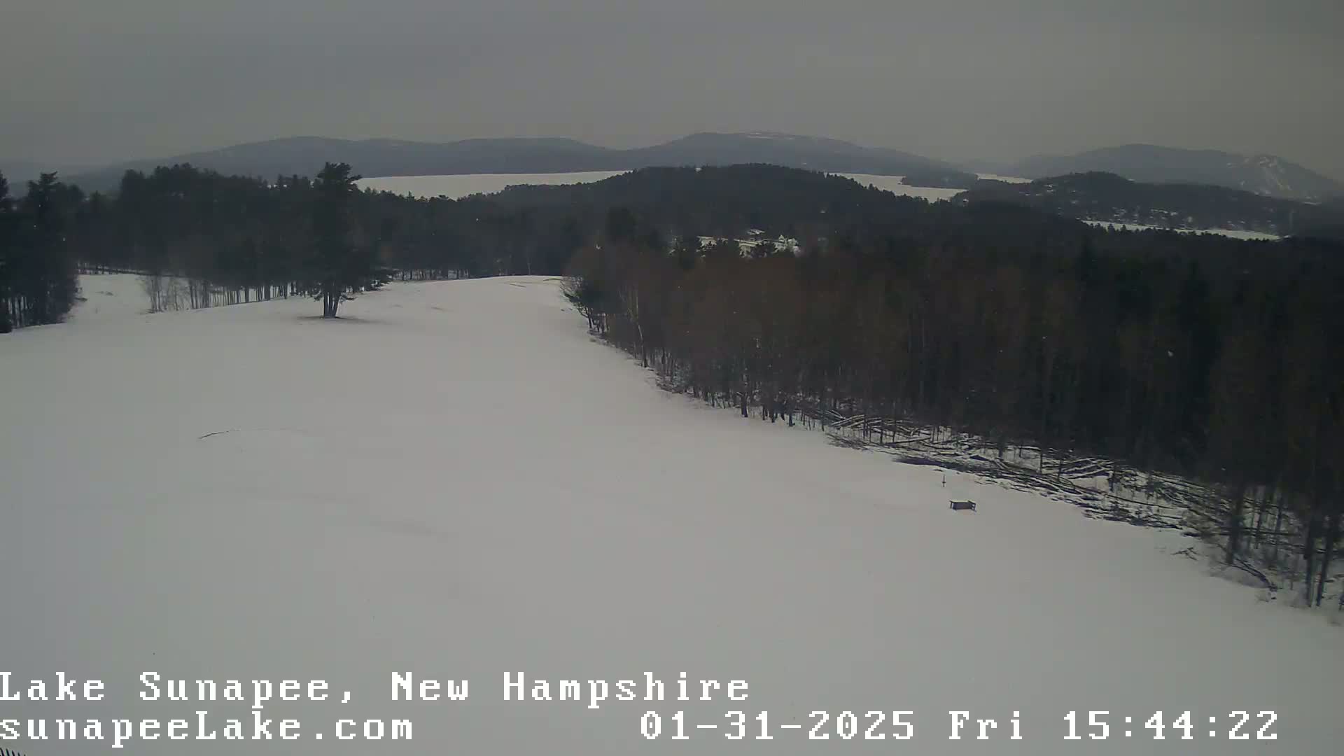 A snow-covered landscape with a line of dark trees to the right, a distant lake, and overcast skies.