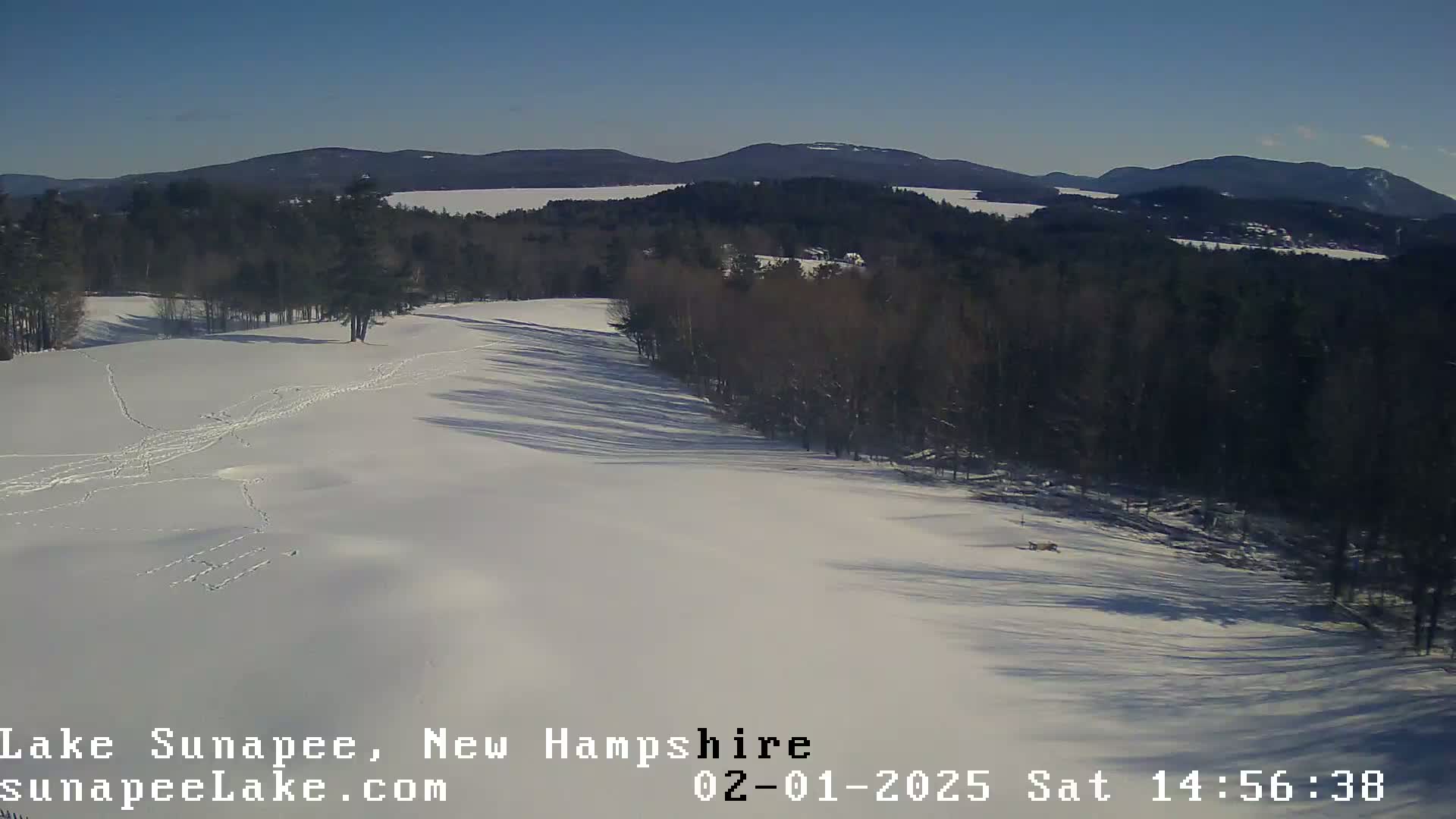 A snow-covered landscape with a line of trees and distant mountains under a clear blue sky.