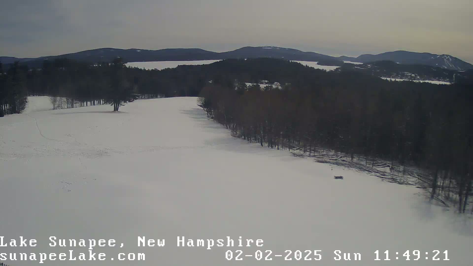 A snow-covered landscape with a stand of dark trees on the right, overlooking a distant lake under an overcast sky.