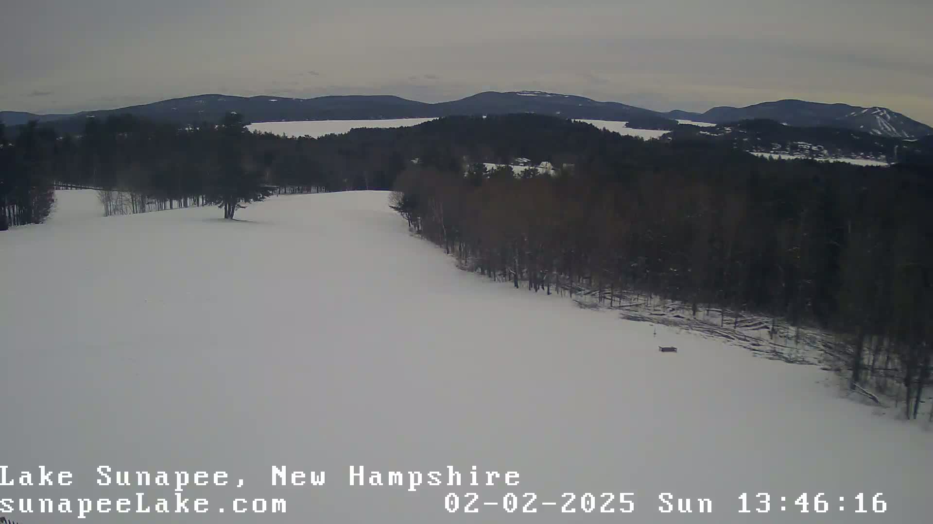 A snow-covered landscape with a line of trees bordering a wide, open snowy field, overlooks a lake and distant mountains under an overcast sky.