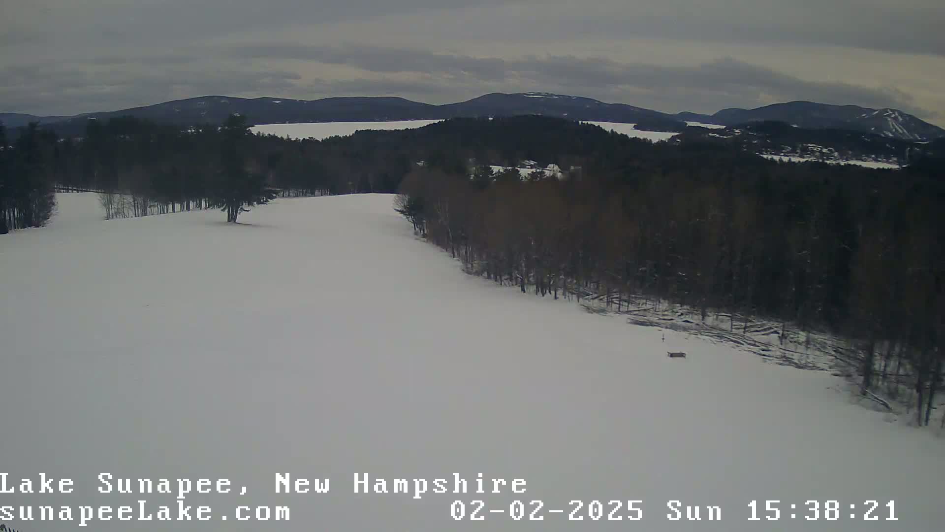 A snow-covered landscape with dark, leafless trees and a distant lake under an overcast sky.