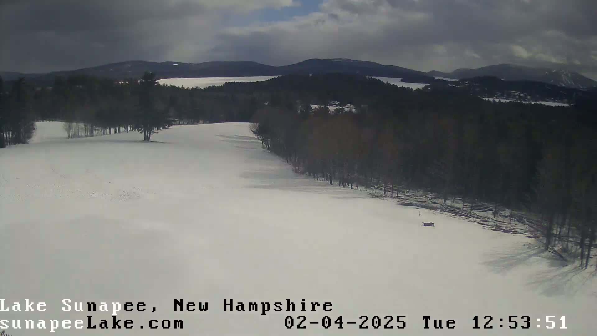 A snow-covered landscape with a line of trees bordering a snowy field, under a cloudy sky, overlooks a distant lake and mountains.