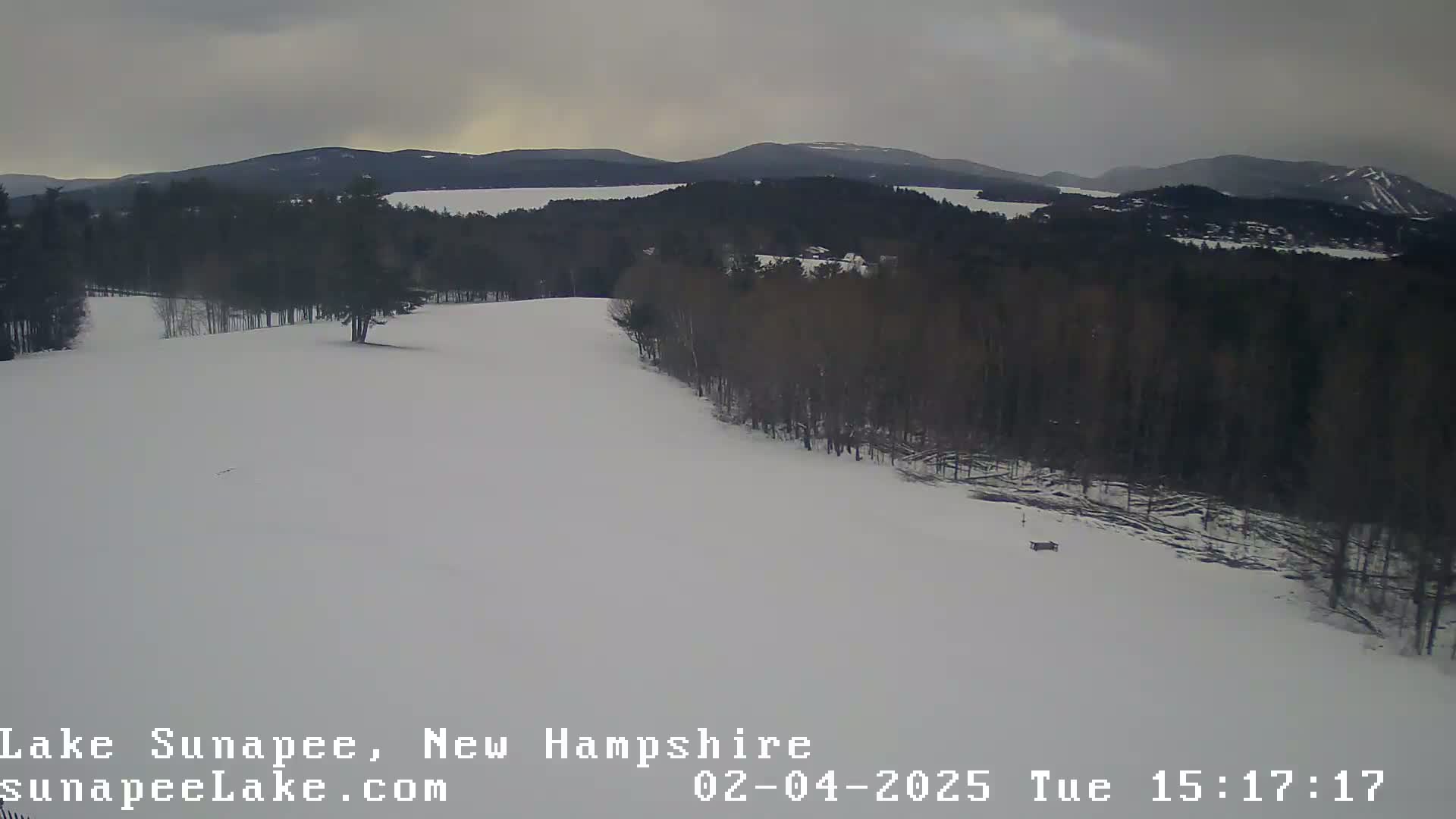 A snow-covered landscape with dark trees and a lake in the distance under an overcast sky.