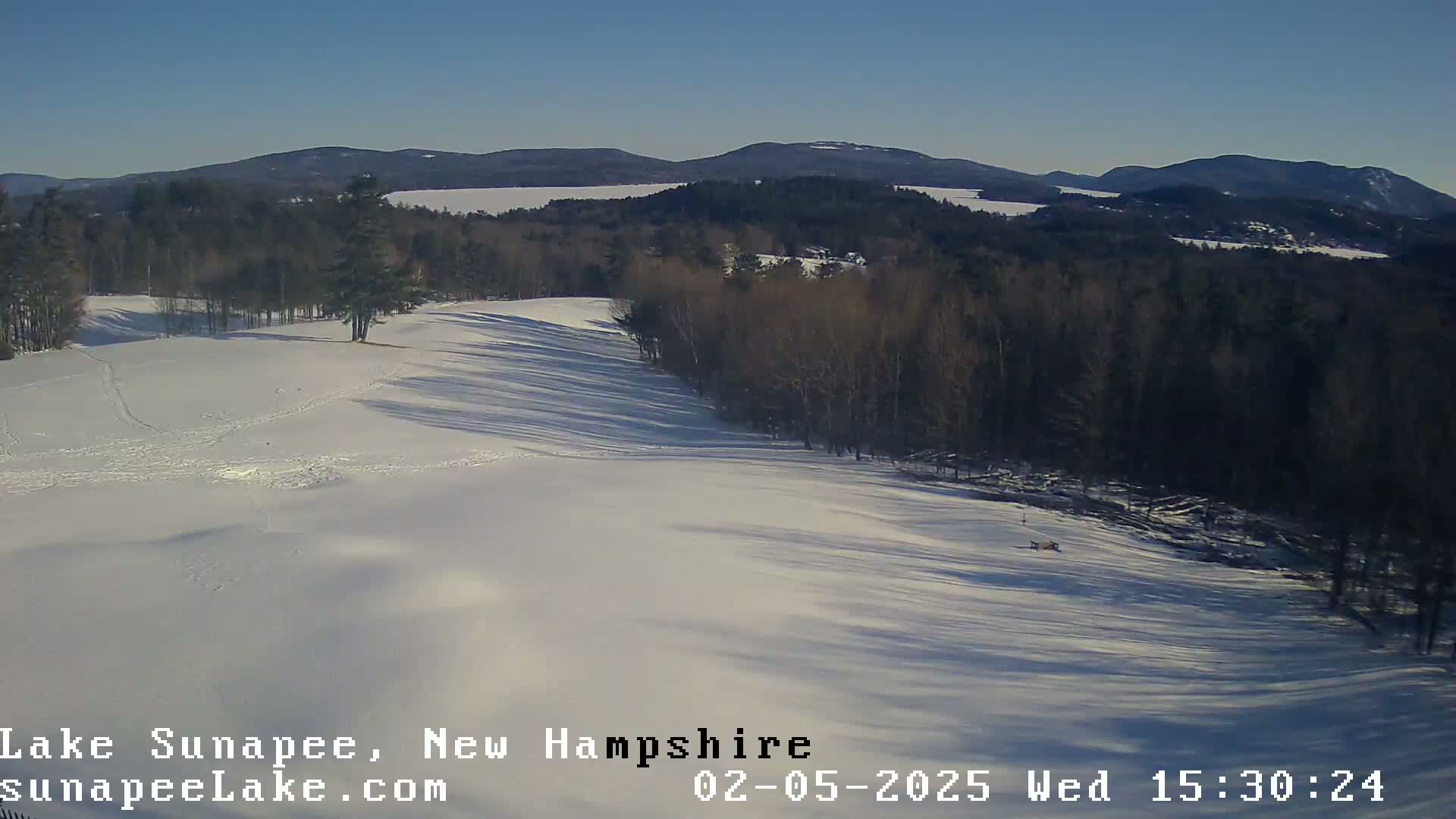 A snow-covered landscape with a line of trees and distant mountains under a clear blue sky.