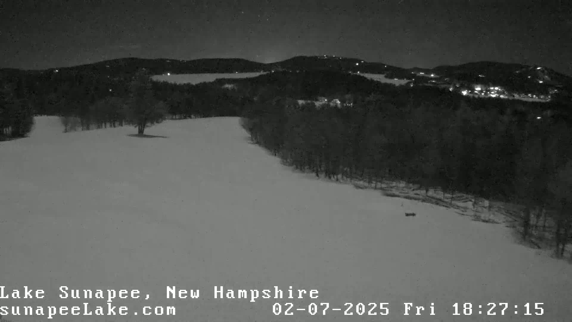 A snow-covered landscape at night, with dark trees and distant lights visible in the background under a clear sky.