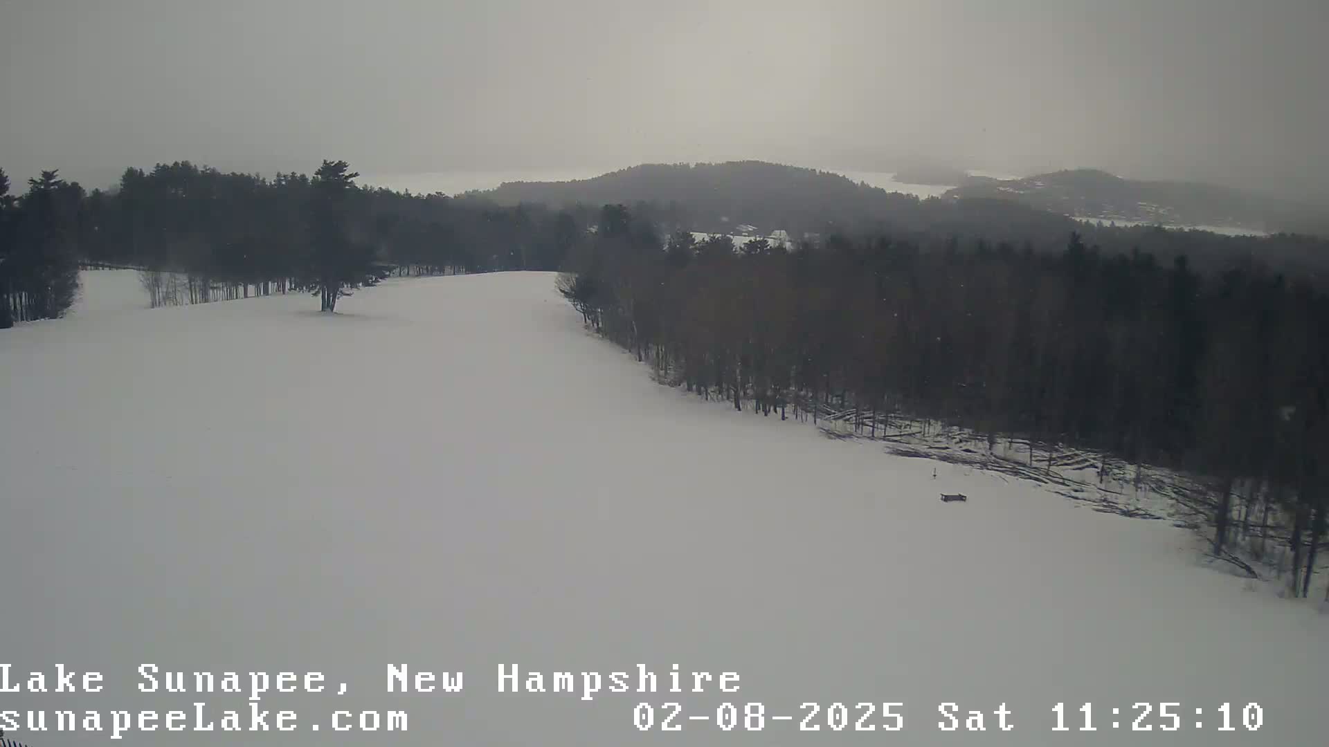 A snowy, overcast landscape shows a snow-covered hill descending into a forest with a lake visible in the distance.