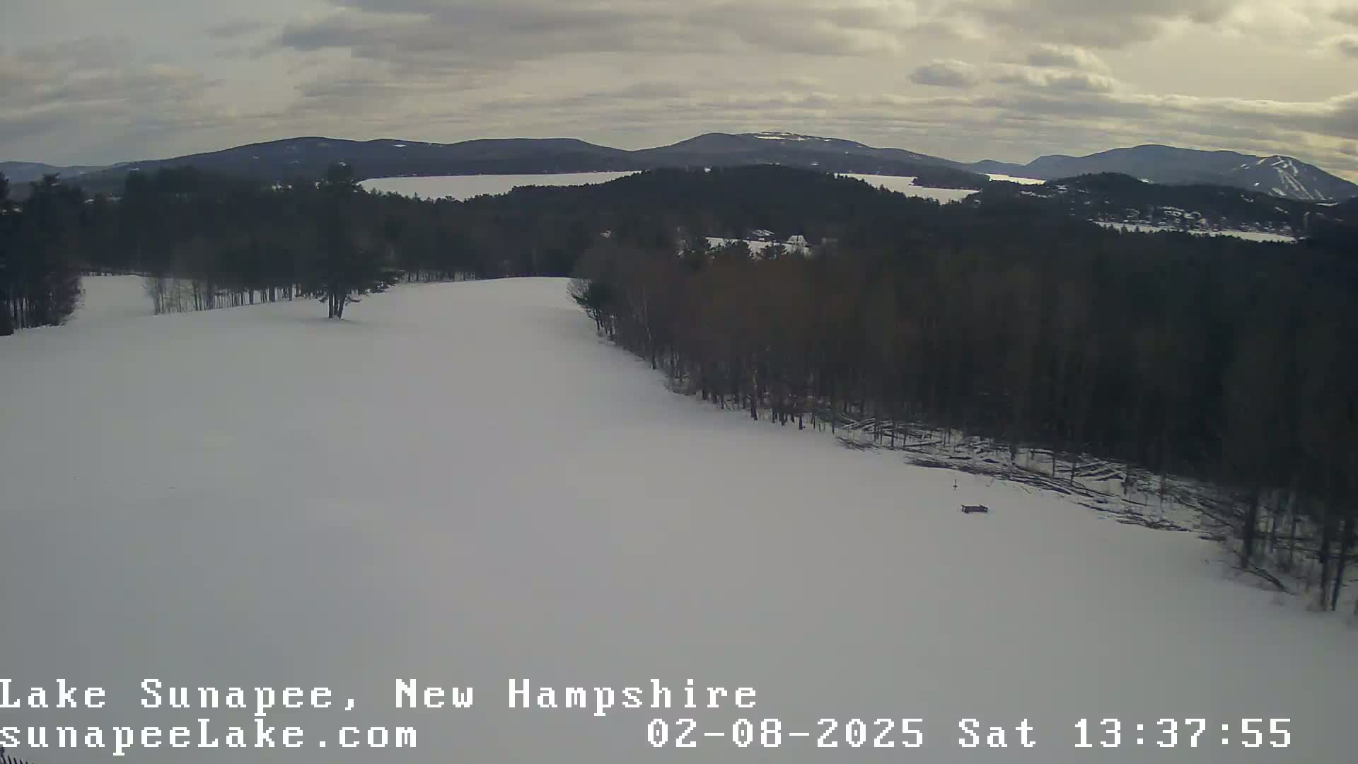 A snow-covered landscape with dark evergreen trees and a lake in the distance under a cloudy sky.