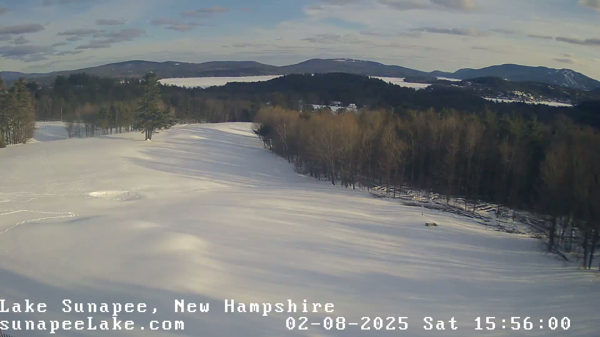 A snow-covered hillside slopes down to a stand of leafless trees, overlooking a lake and distant mountains under a partly cloudy sky.