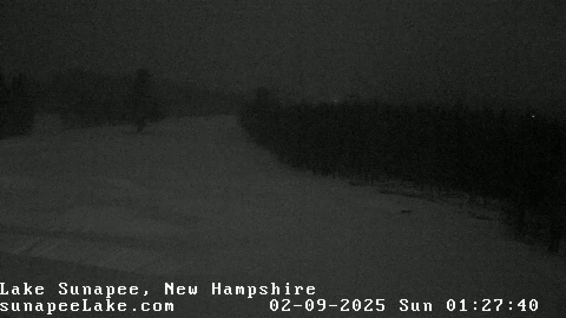 A nighttime, snow-covered landscape with dark trees in the background.