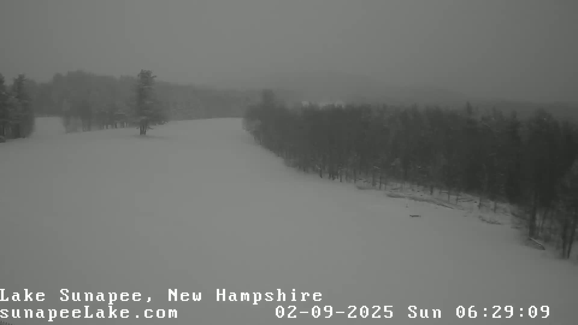 A snow-covered landscape with a line of trees under a heavy snowfall.