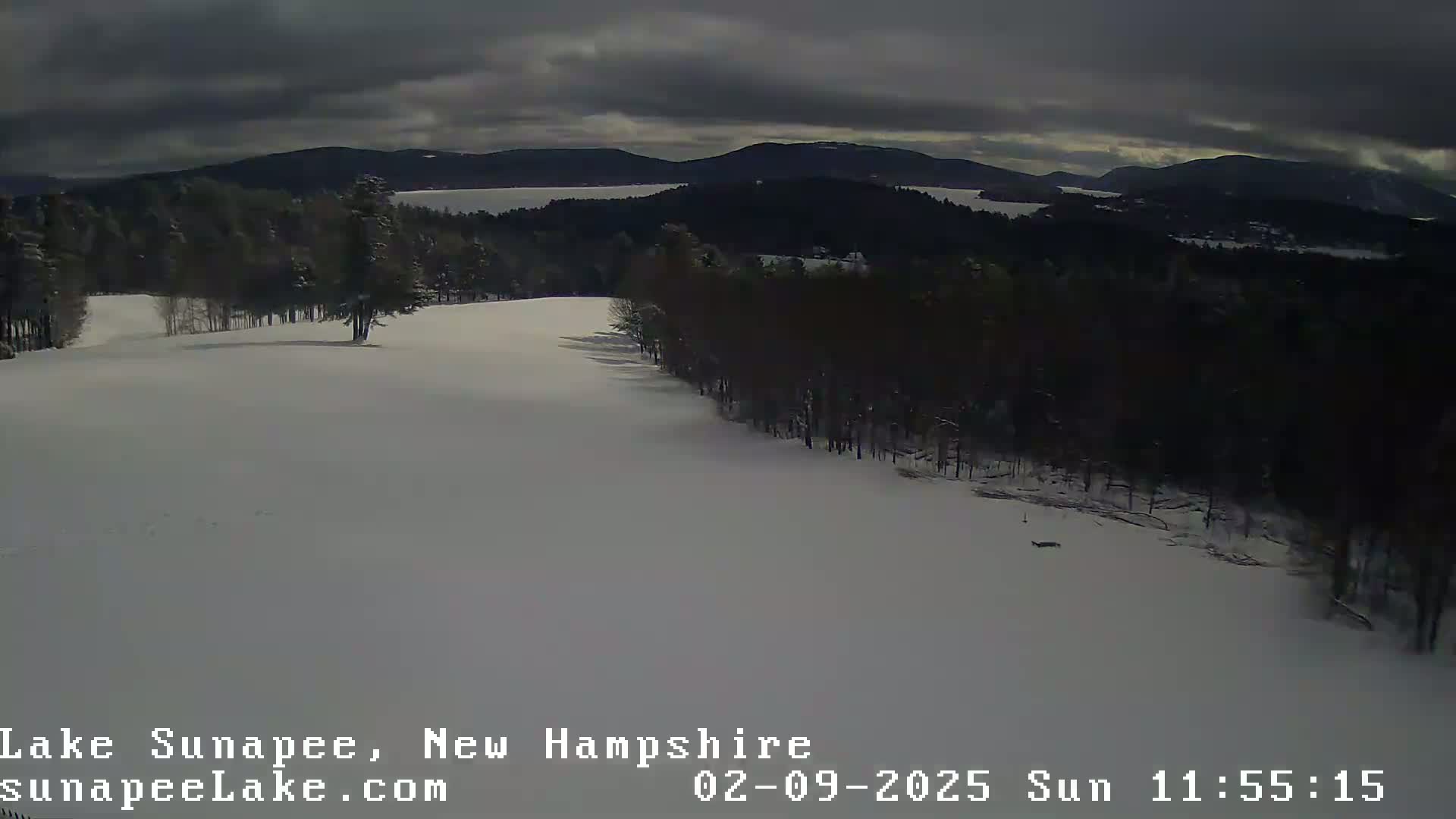 A snow-covered landscape with a line of dark trees overlooks a distant lake under a cloudy sky.