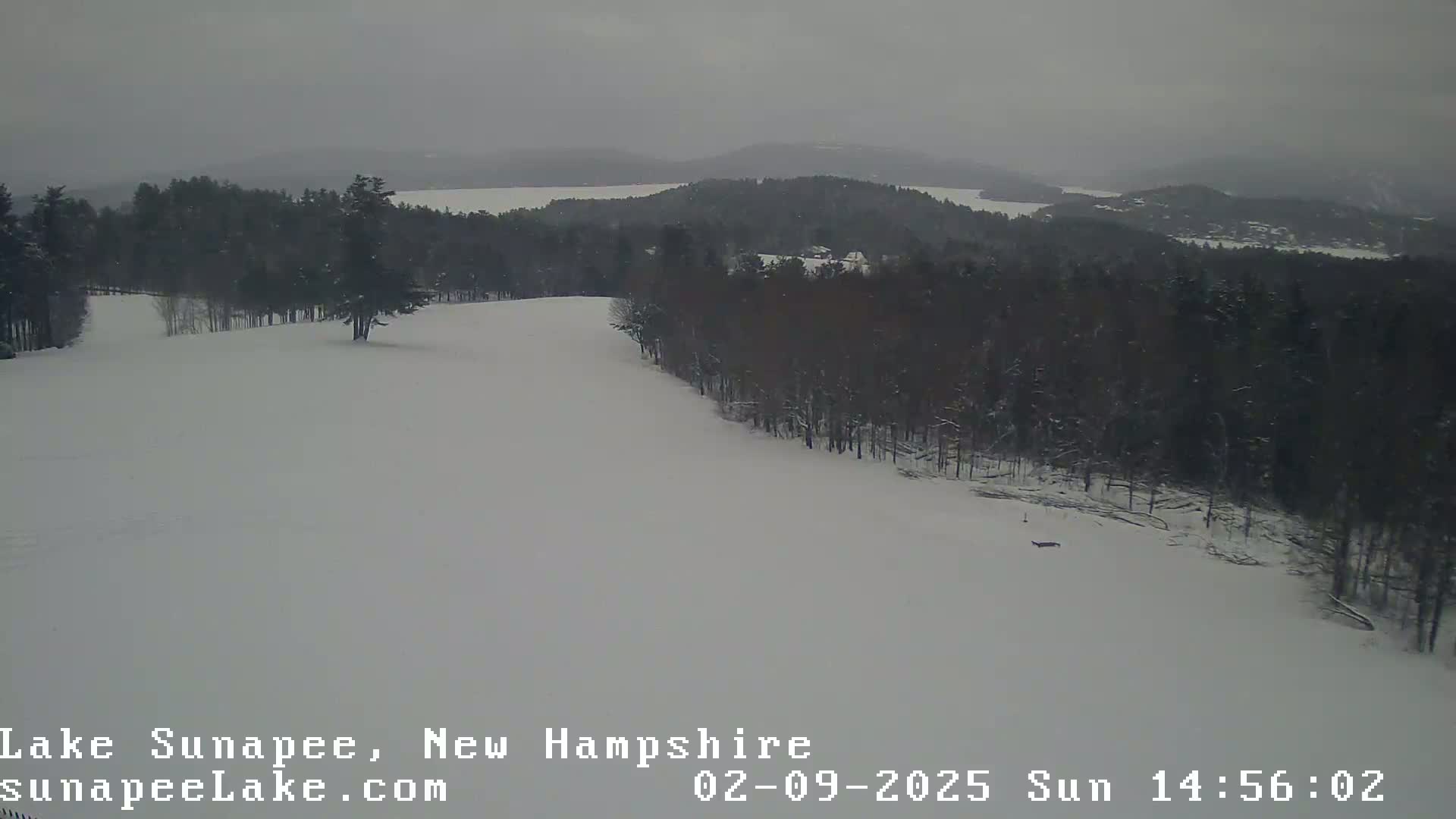 A snow-covered landscape with a line of dark trees descending to a snow-covered slope overlooking a lake under an overcast sky.