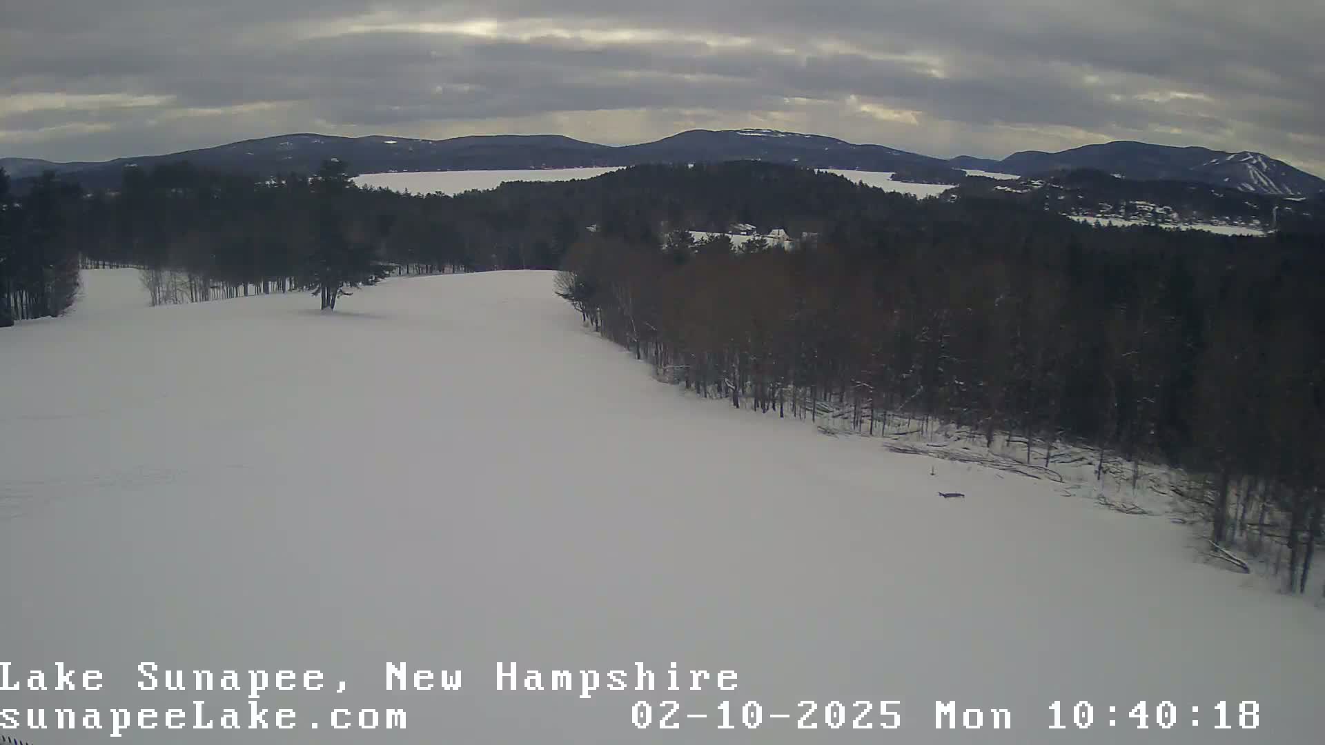 A snow-covered landscape with a line of bare trees bordering a wide, snow-covered expanse, overlooking a distant lake and mountains under an overcast sky.