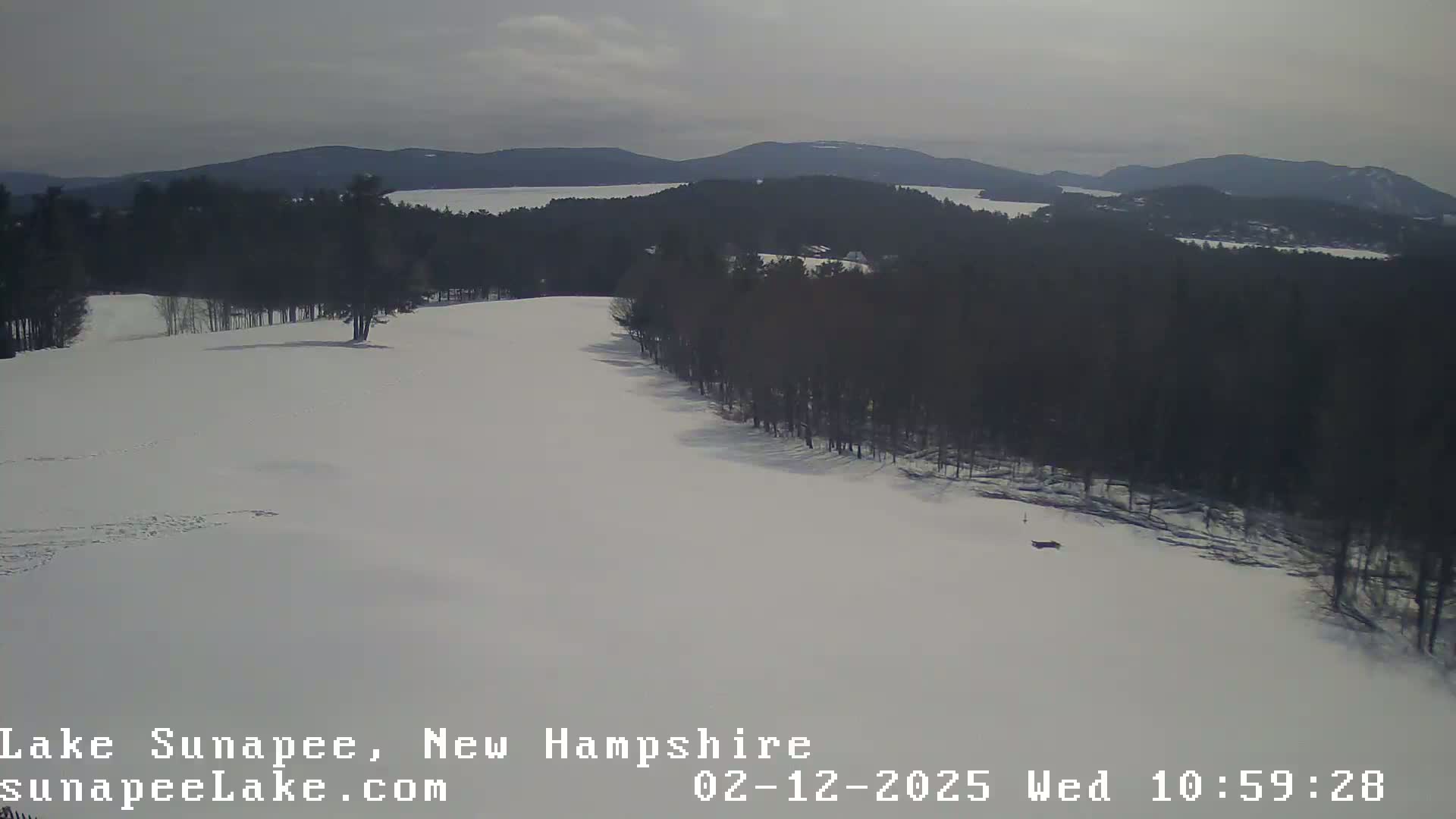 A snow-covered landscape shows a line of dark trees bordering a wide expanse of snow, with distant mountains visible under a cloudy sky.