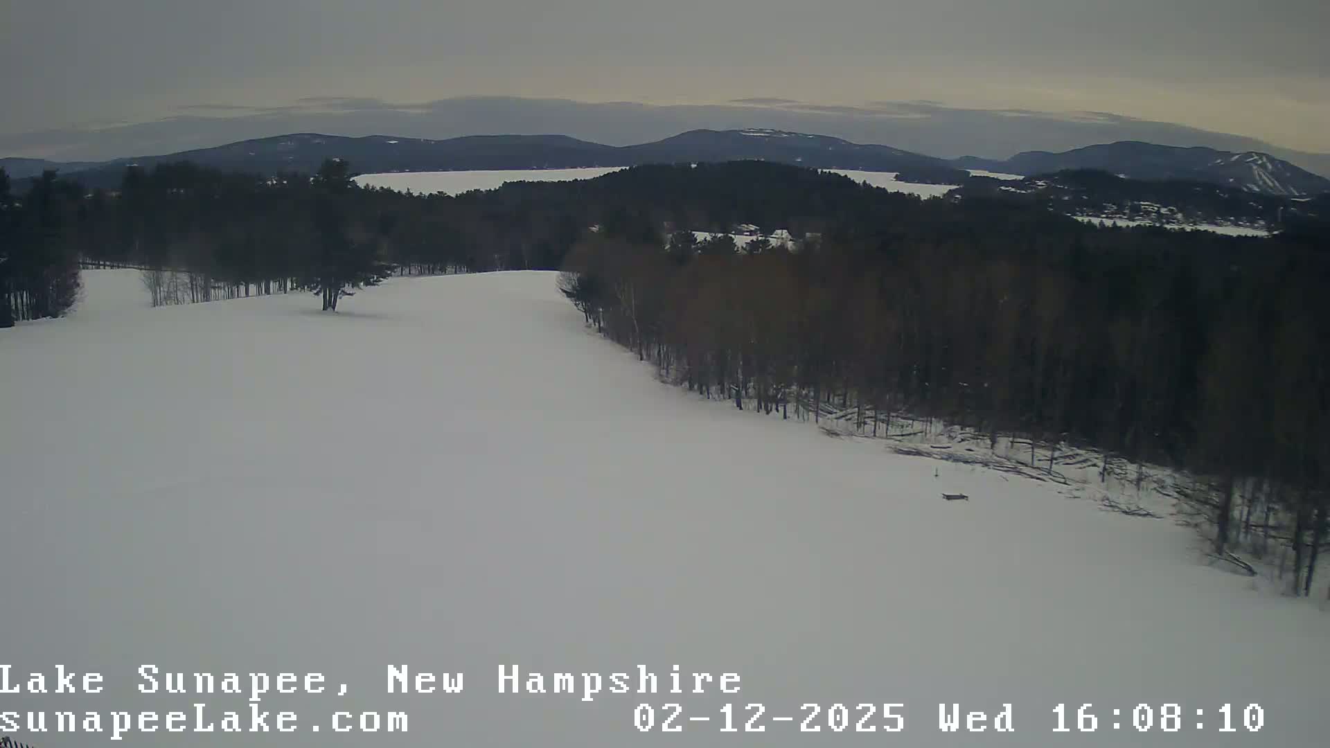 A snow-covered hillside slopes down towards a lake, surrounded by dark, leafless trees under an overcast sky.