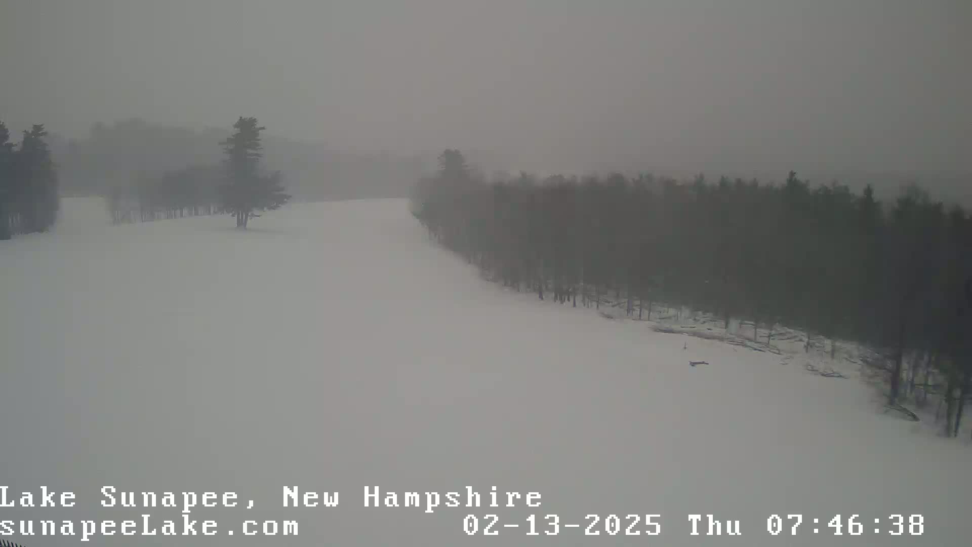 A snow-covered landscape with a line of trees on the right, under heavy snow conditions.
