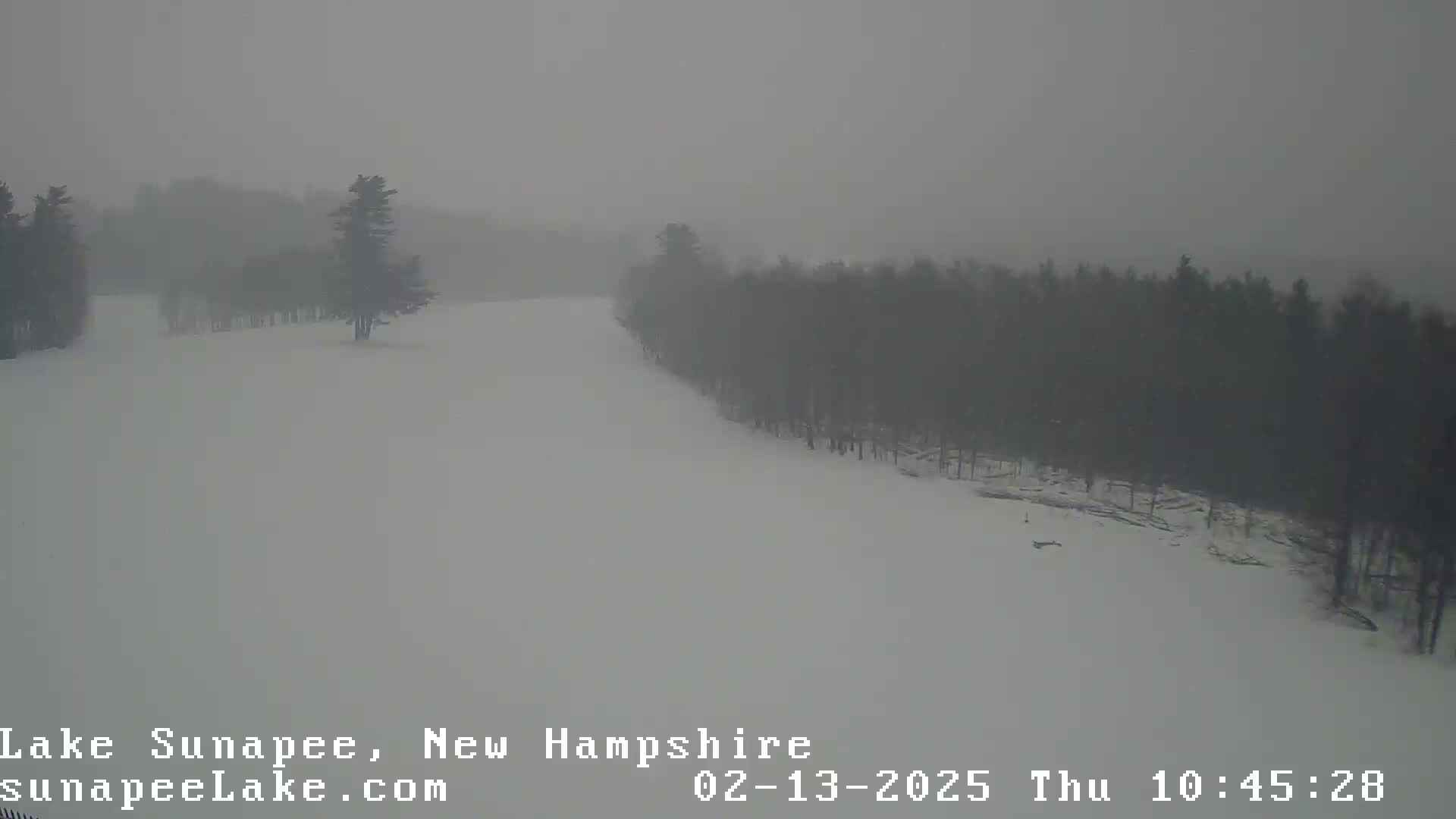 A snow-covered landscape with a line of trees in the background during heavy snow.