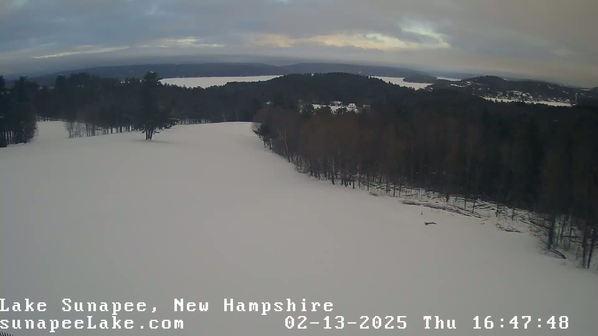 A snow-covered slope descends toward a line of dark trees and a distant lake under an overcast sky.