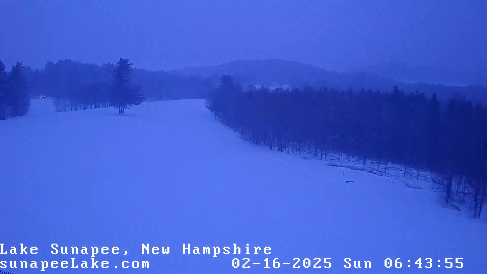 A snow-covered landscape with a line of trees under a twilight sky during a snowfall.